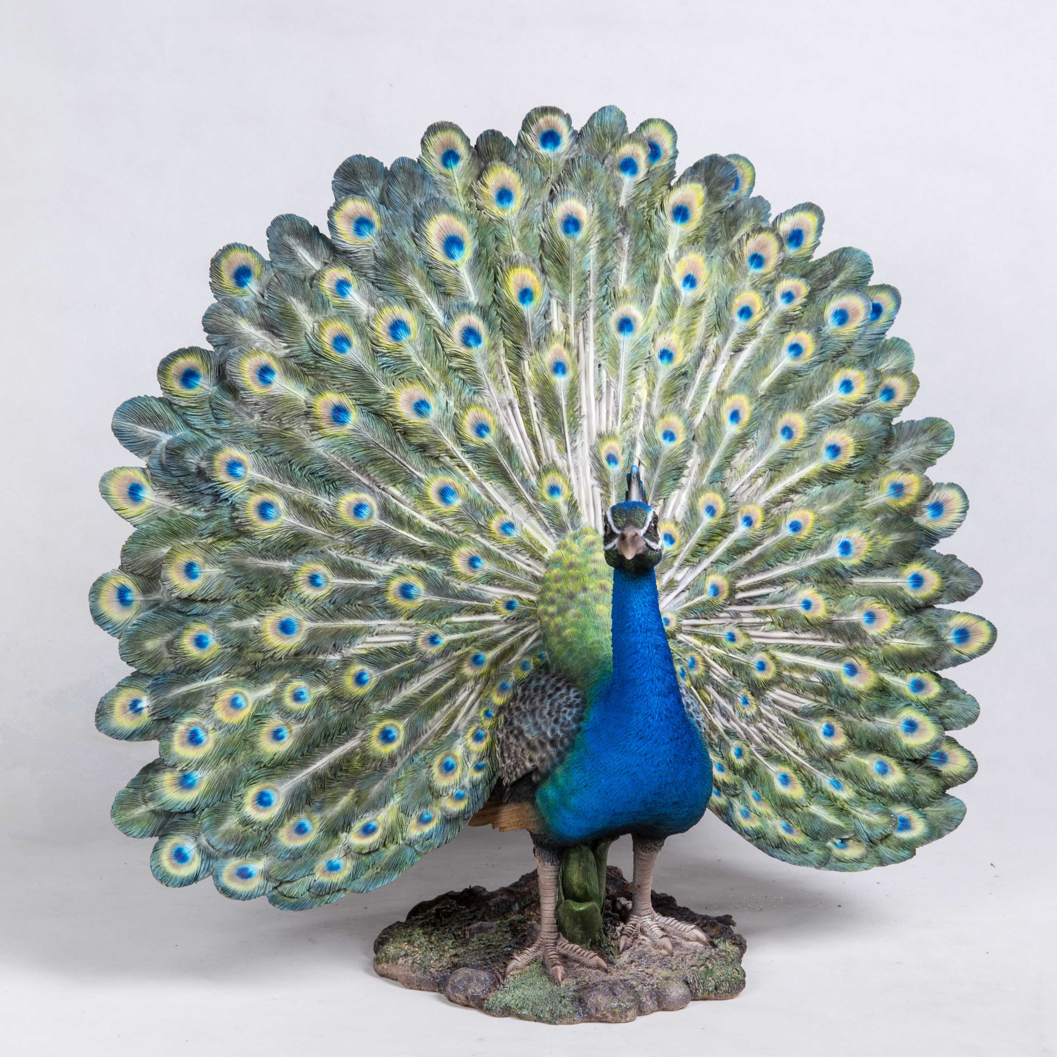HiLine Gift Ltd. Peacock with Feathers Out Statue Wayfair