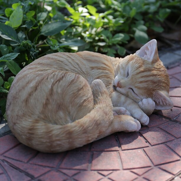 tabby cat statues