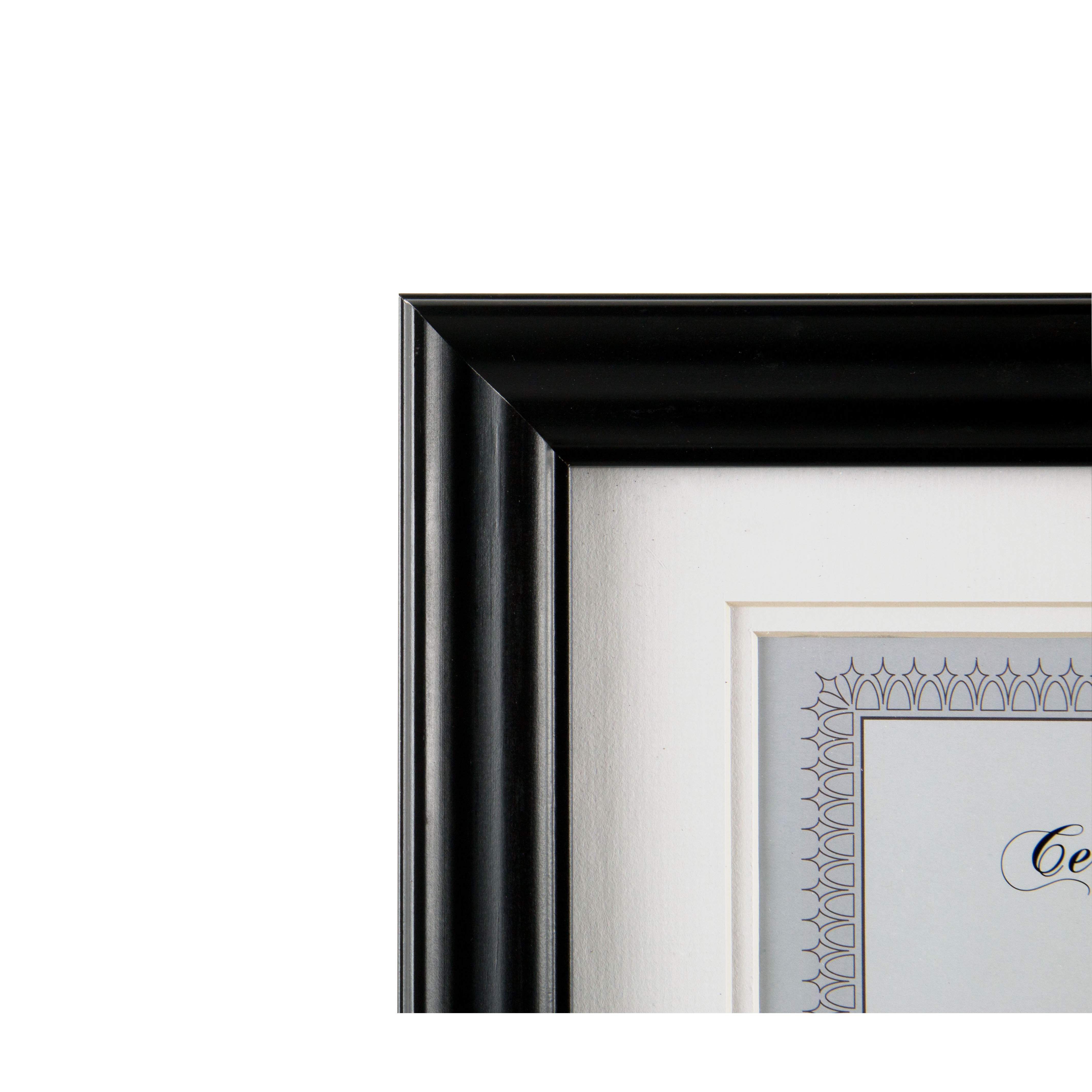 NielsenBainbridge Gallery Solutions Document Picture Frame Wayfair