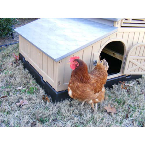 Formex Standard Chicken Coop & Reviews Wayfair