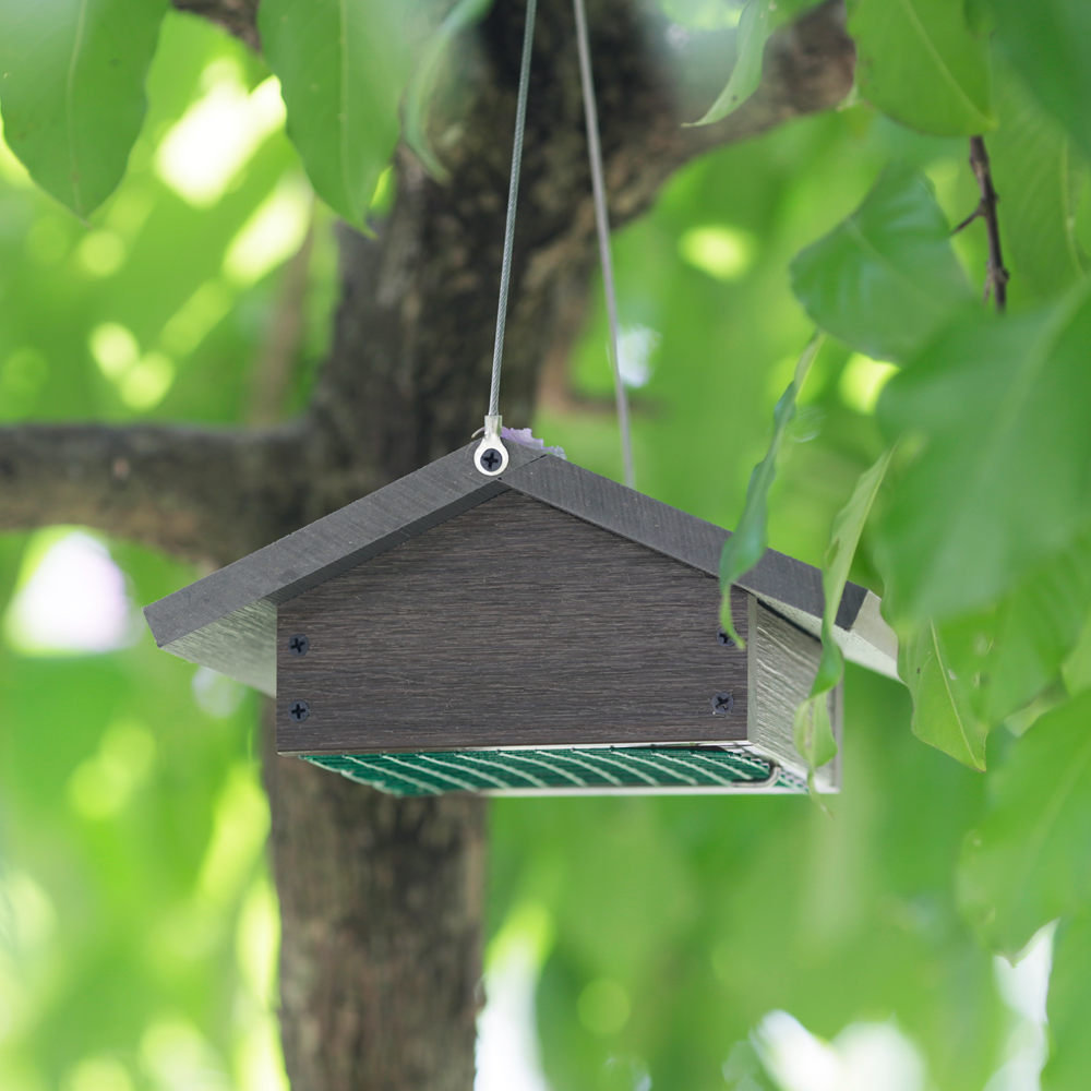 NewTechWood Nature's Friend Recycled Composite Bird Feeder Wayfair