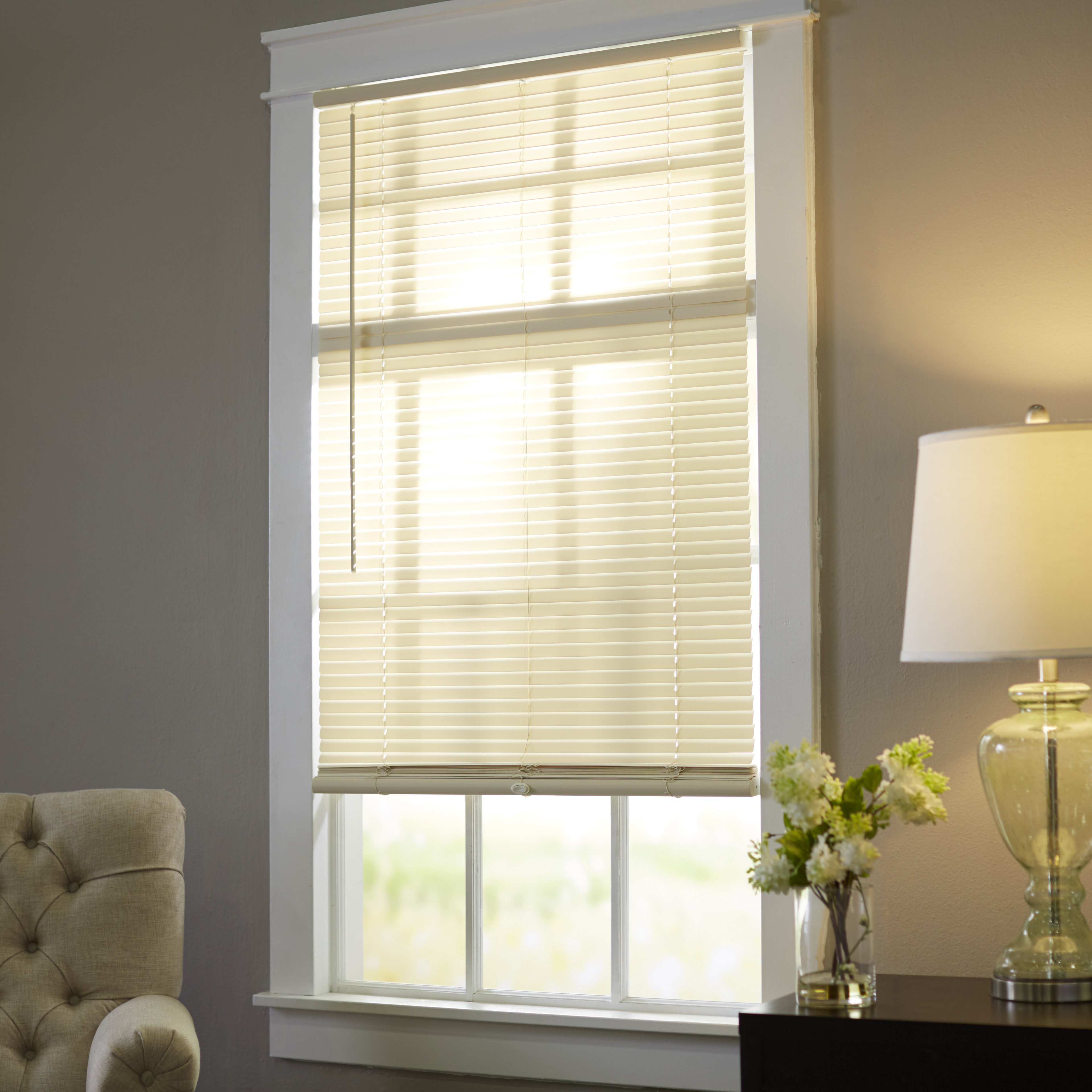 Wayfair Basics Wayfair Basics Cordless Blind & Reviews Wayfair