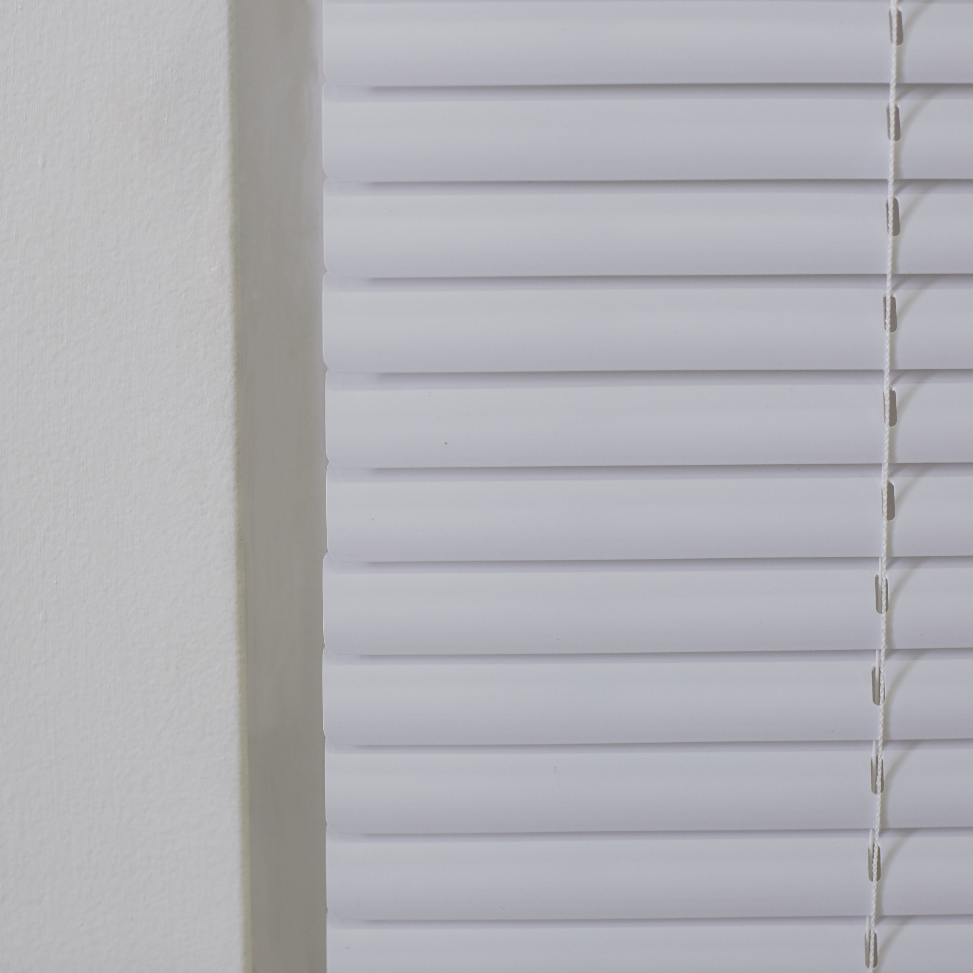 Wayfair Basics Wayfair Basics Cordless Blind & Reviews Wayfair