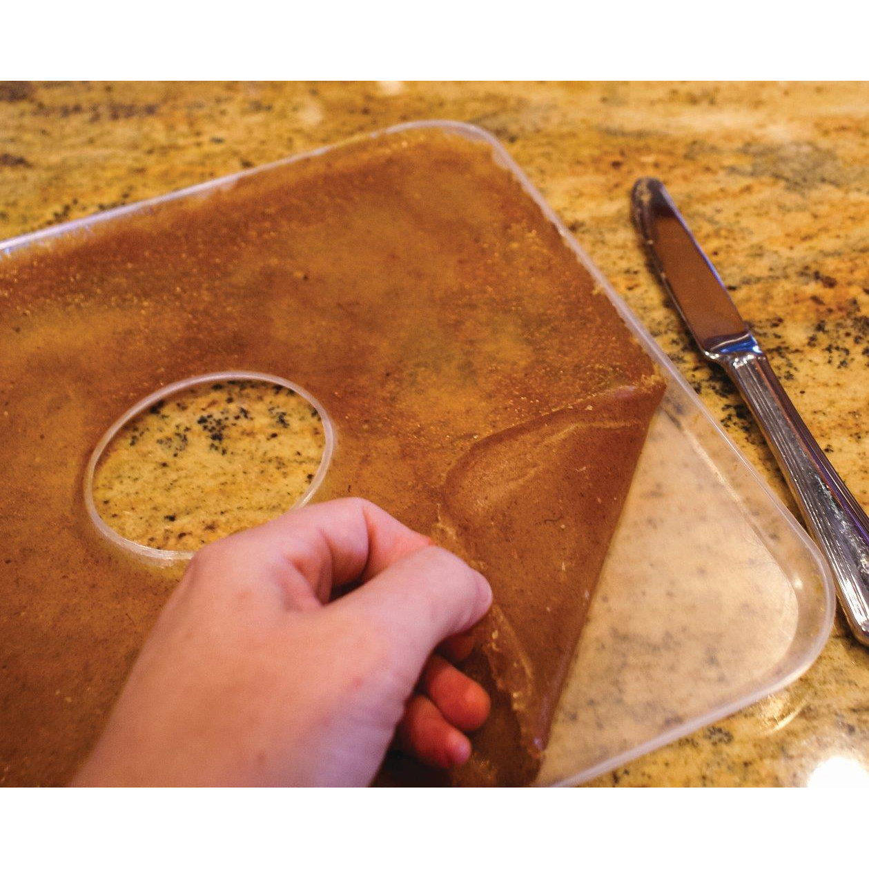 Ronco Square Fruit Leather Trays & Reviews Wayfair