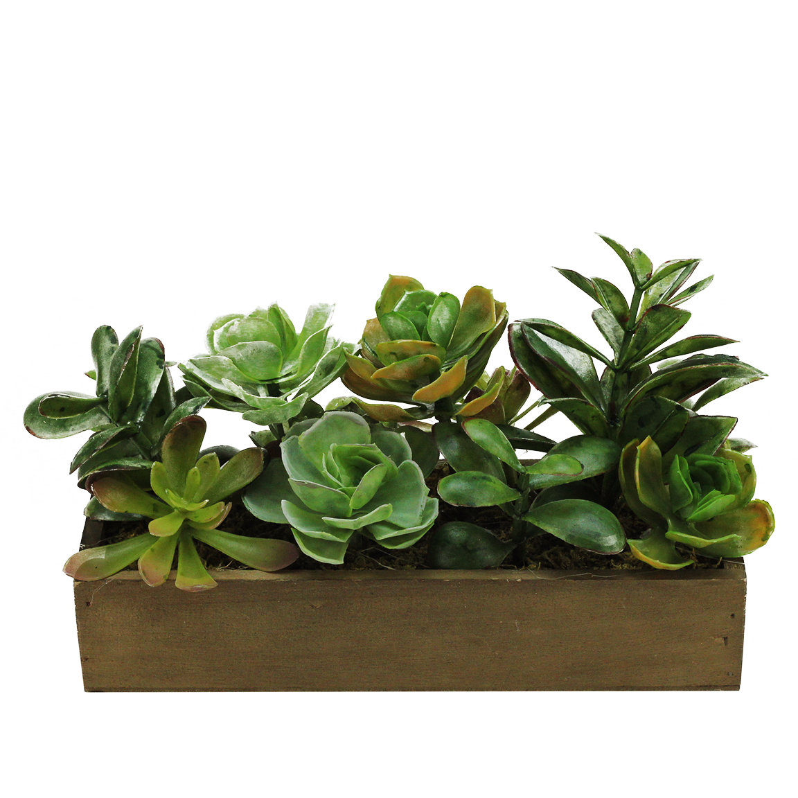 Northlight Artificial Mixed Succulent Desk Top Plant in