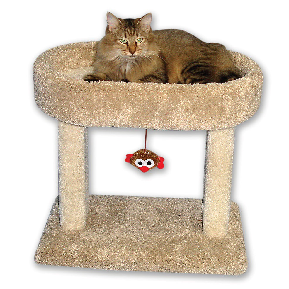 free for mac download Cat Condo