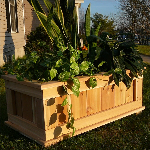 InfiniteCedar Rectangular Planter Box & Reviews Wayfair