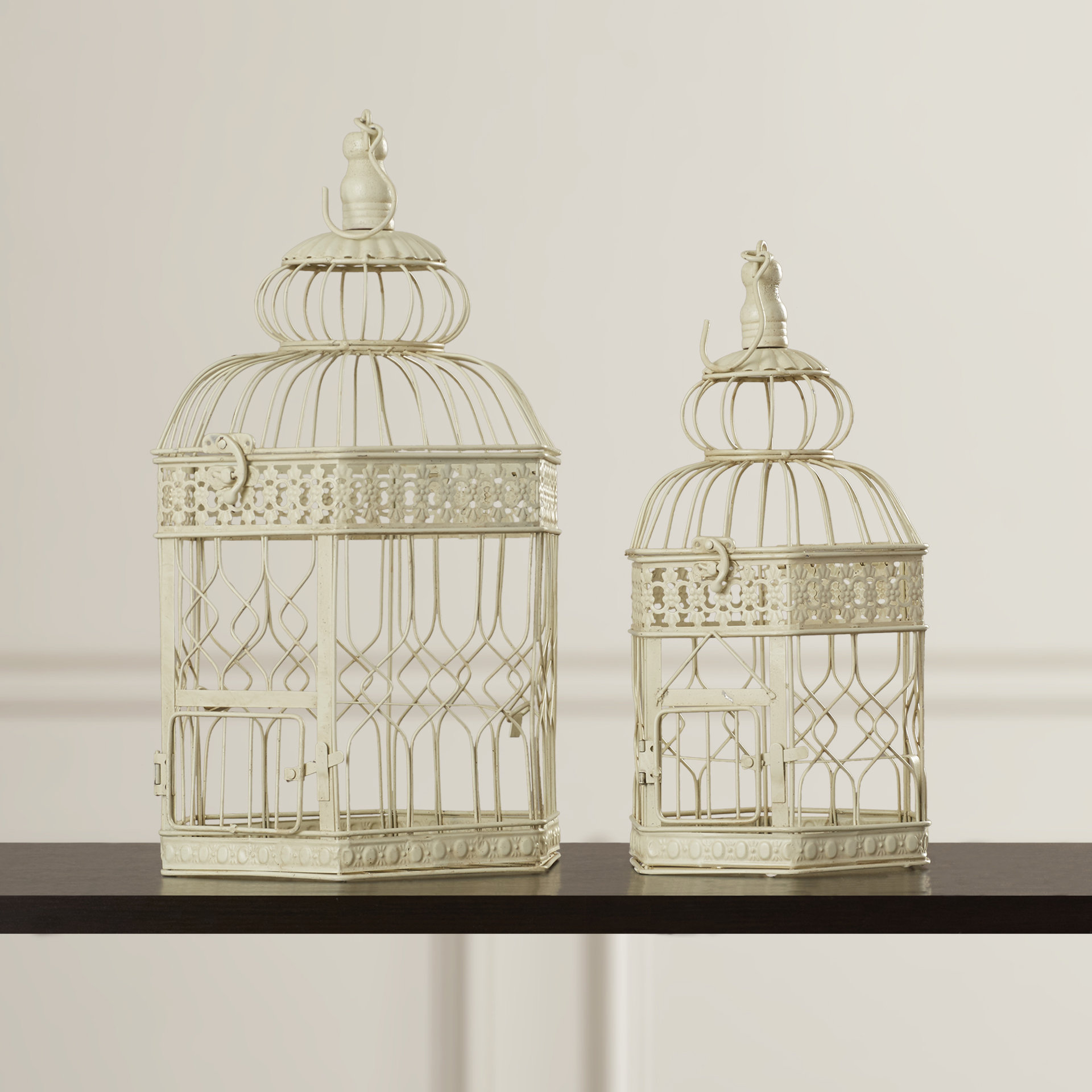 Darby Home Co 2 Piece Decorative Metal Bird Cage Set & Reviews Wayfair