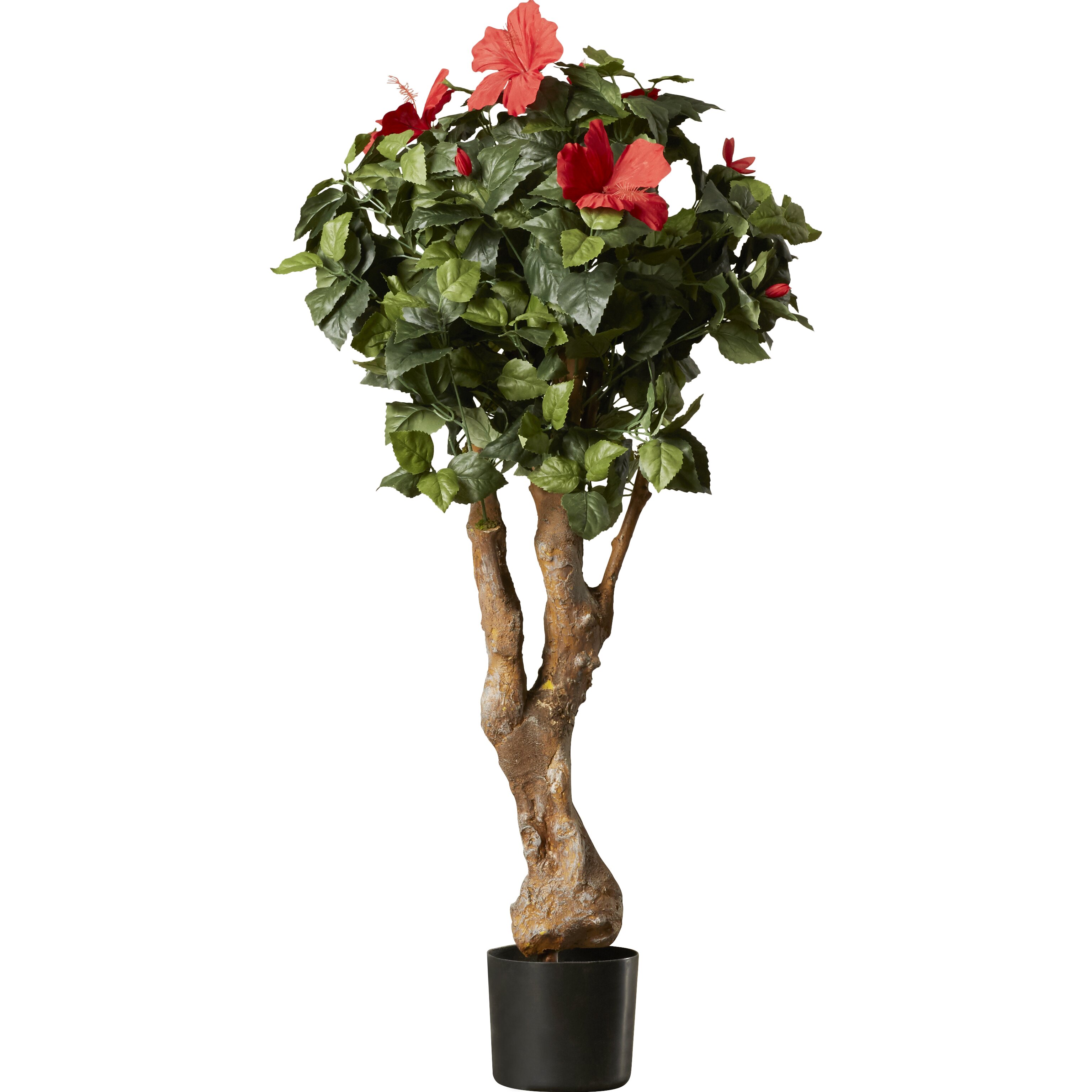 Darby Home Co Artificial Hibiscus Tree in Pot & Reviews Wayfair