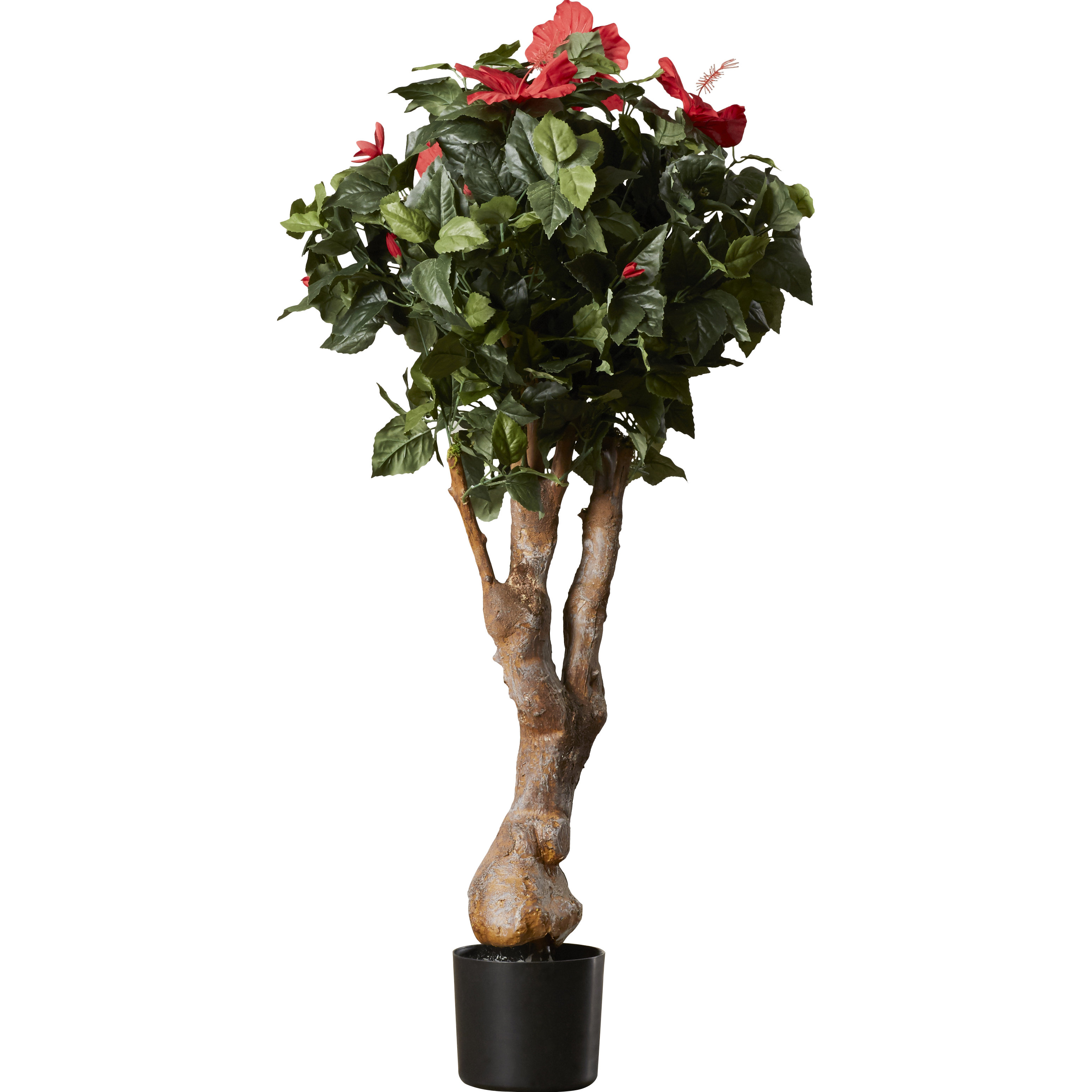 Darby Home Co Artificial Hibiscus Tree in Pot & Reviews Wayfair