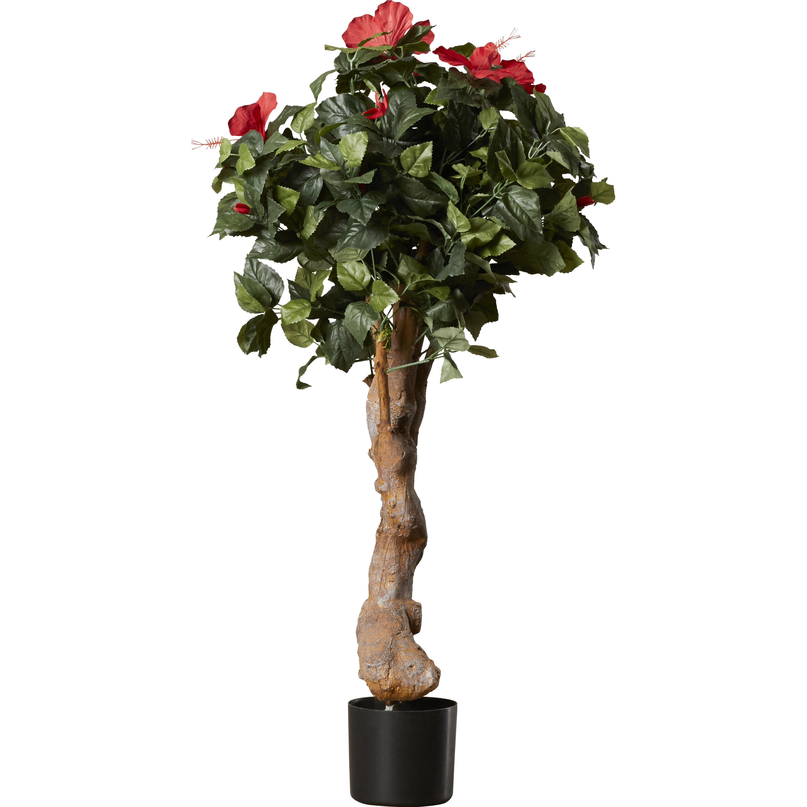 Darby Home Co Artificial Hibiscus Tree in Pot & Reviews Wayfair