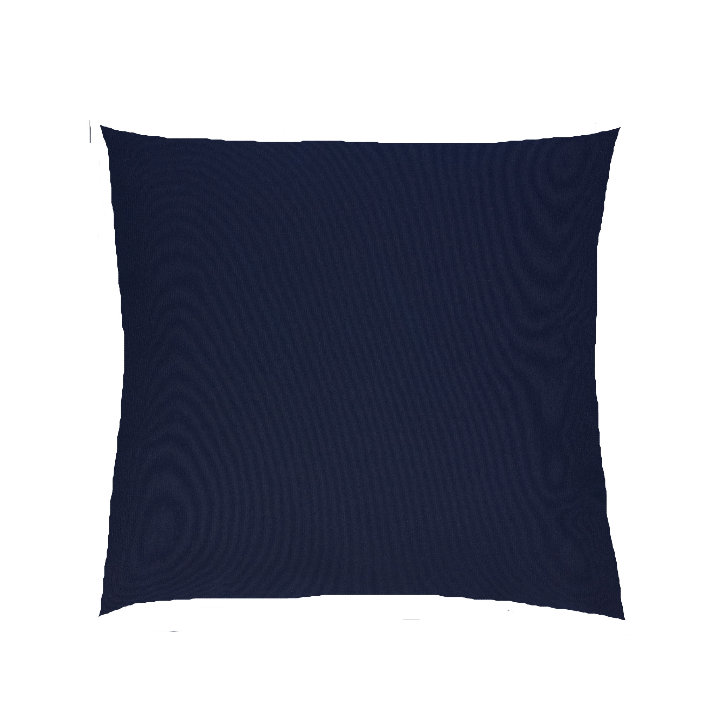 Darby Home Co Dover Indoor/Outdoor Knife Edge Sunbrella Throw Pillow & Reviews Wayfair