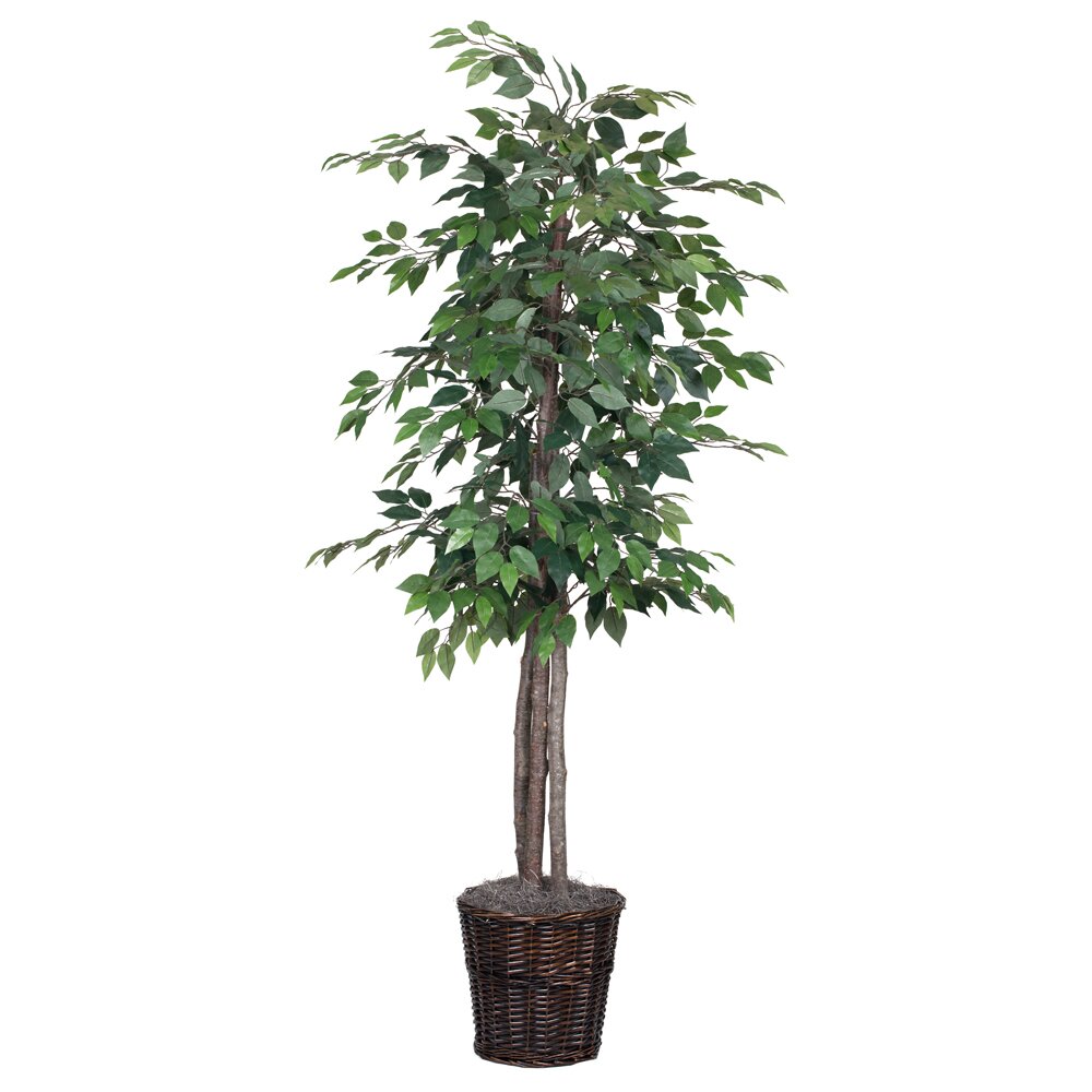 Charlton Home Artificial Potted Natural Ficus Tree in Basket & Reviews ...