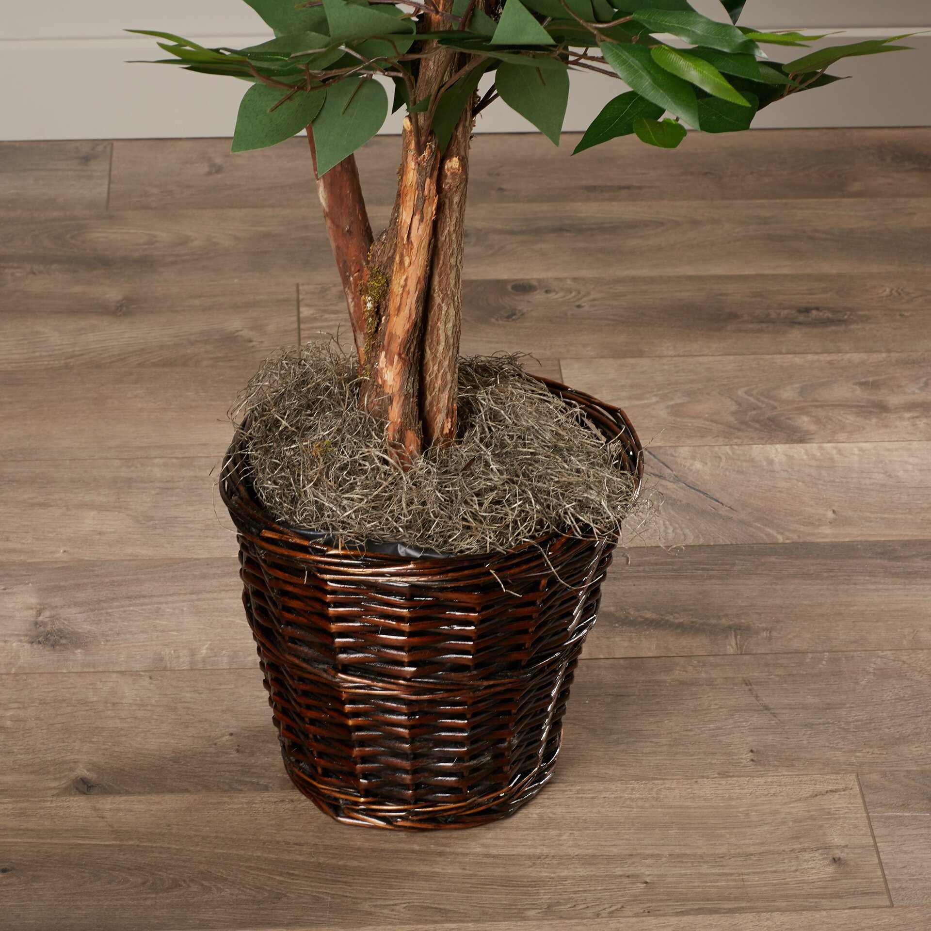 Charlton Home Kidwelly Artificial Potted Natural Ficus Tree in Basket ...