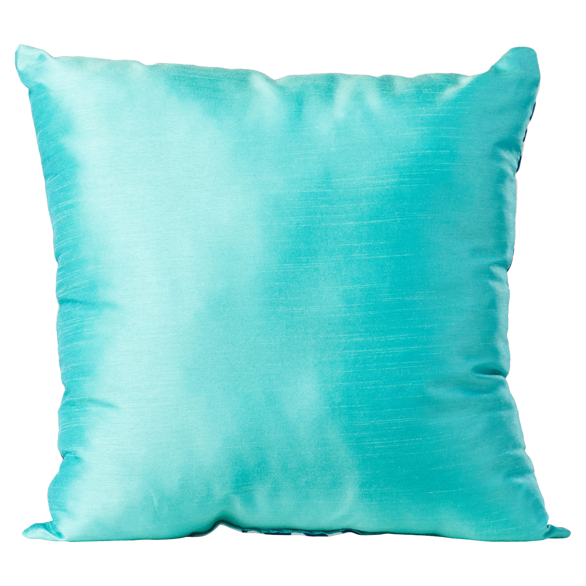 Charlton Home Fraley Throw Pillow & Reviews Wayfair.ca