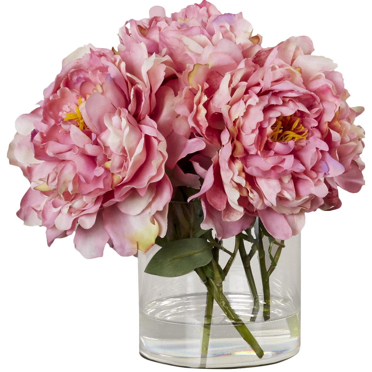 Charlton Home Scollfyld Pink Peony in Acrylic Water Glass Vase