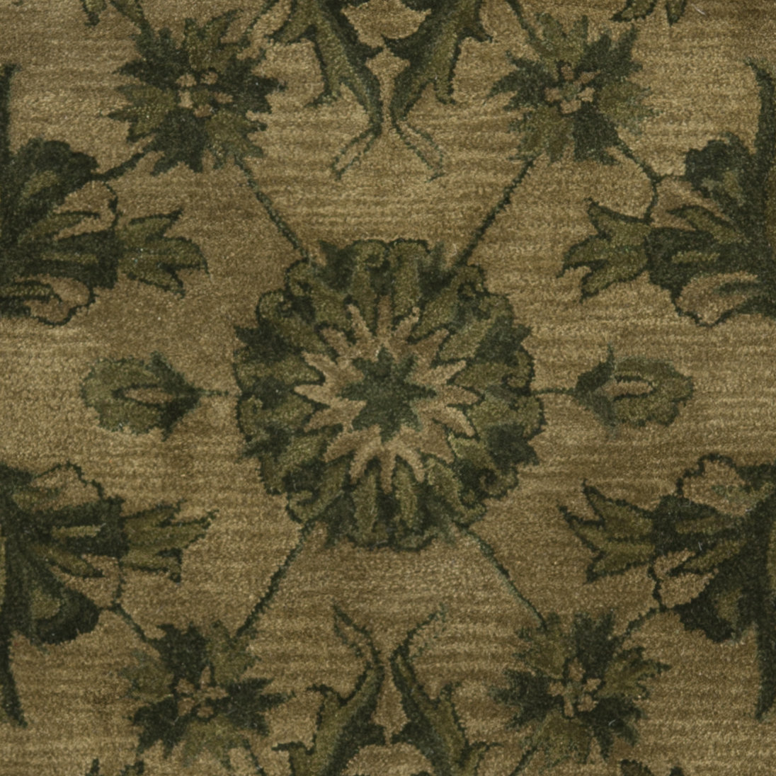Charlton Home Dunbar Olive/Green Area Rug & Reviews Wayfair