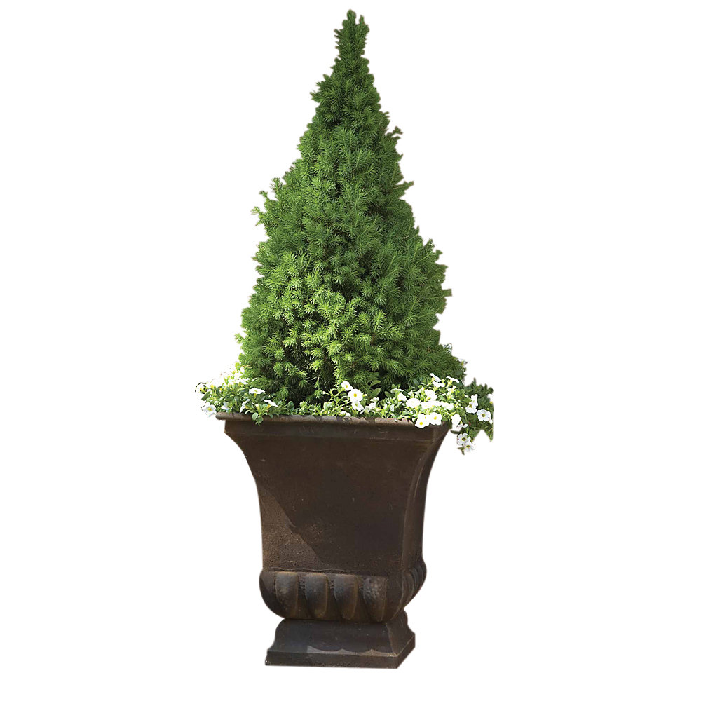 Gardman Square Urn Planter & Reviews Wayfair