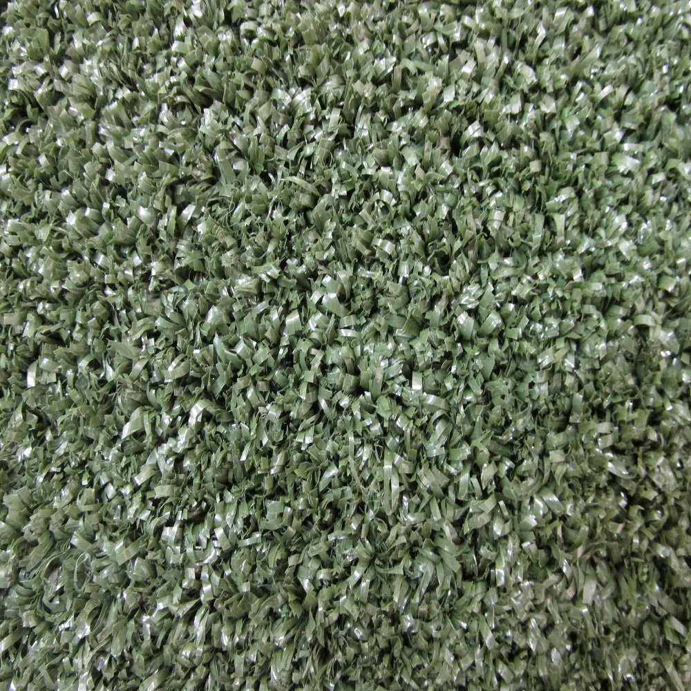 Beaulieu HandTufted Olive Green Indoor/Outdoor Area Rug & Reviews
