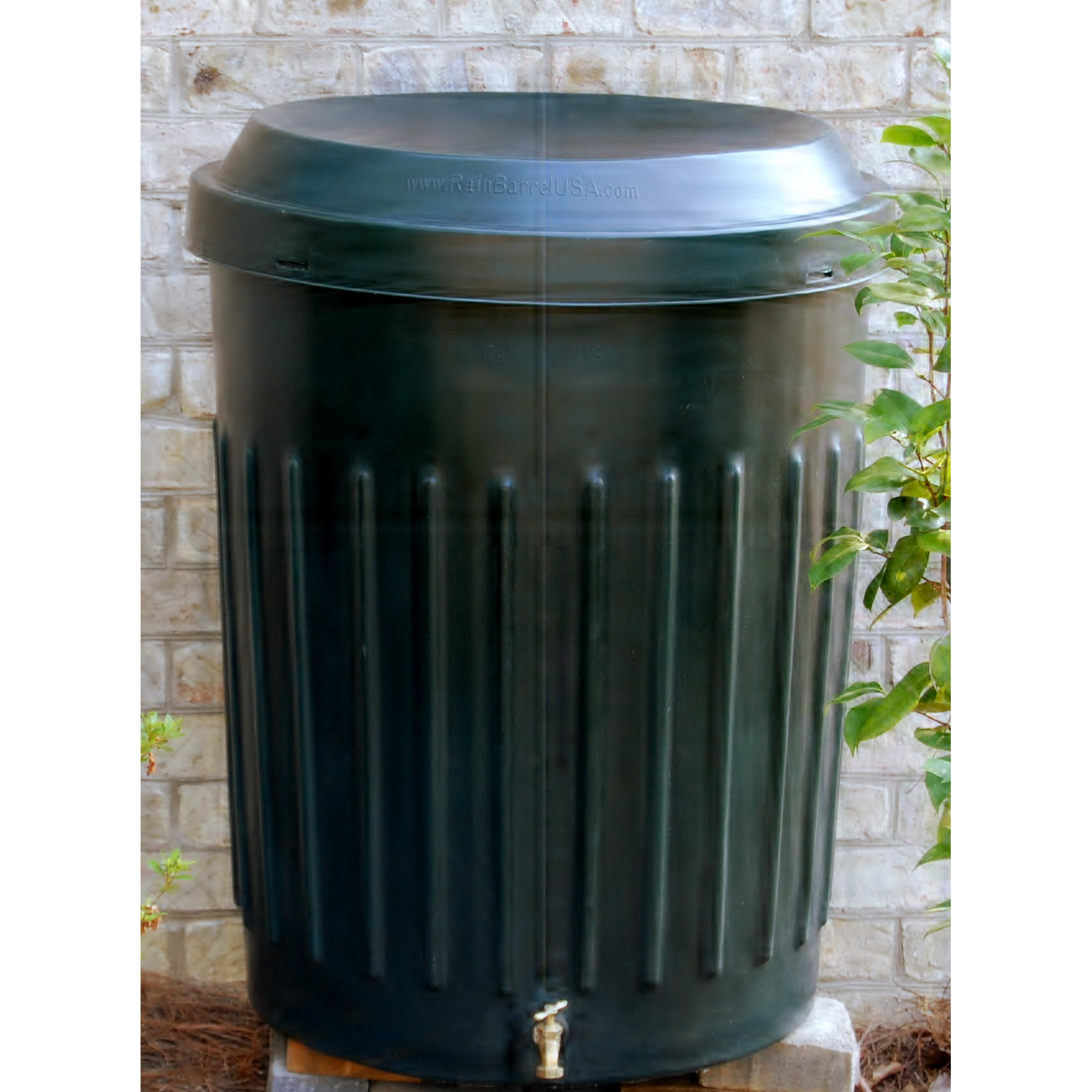 RainBarrelUSA 80 Gallon Rain Barrel & Reviews Wayfair