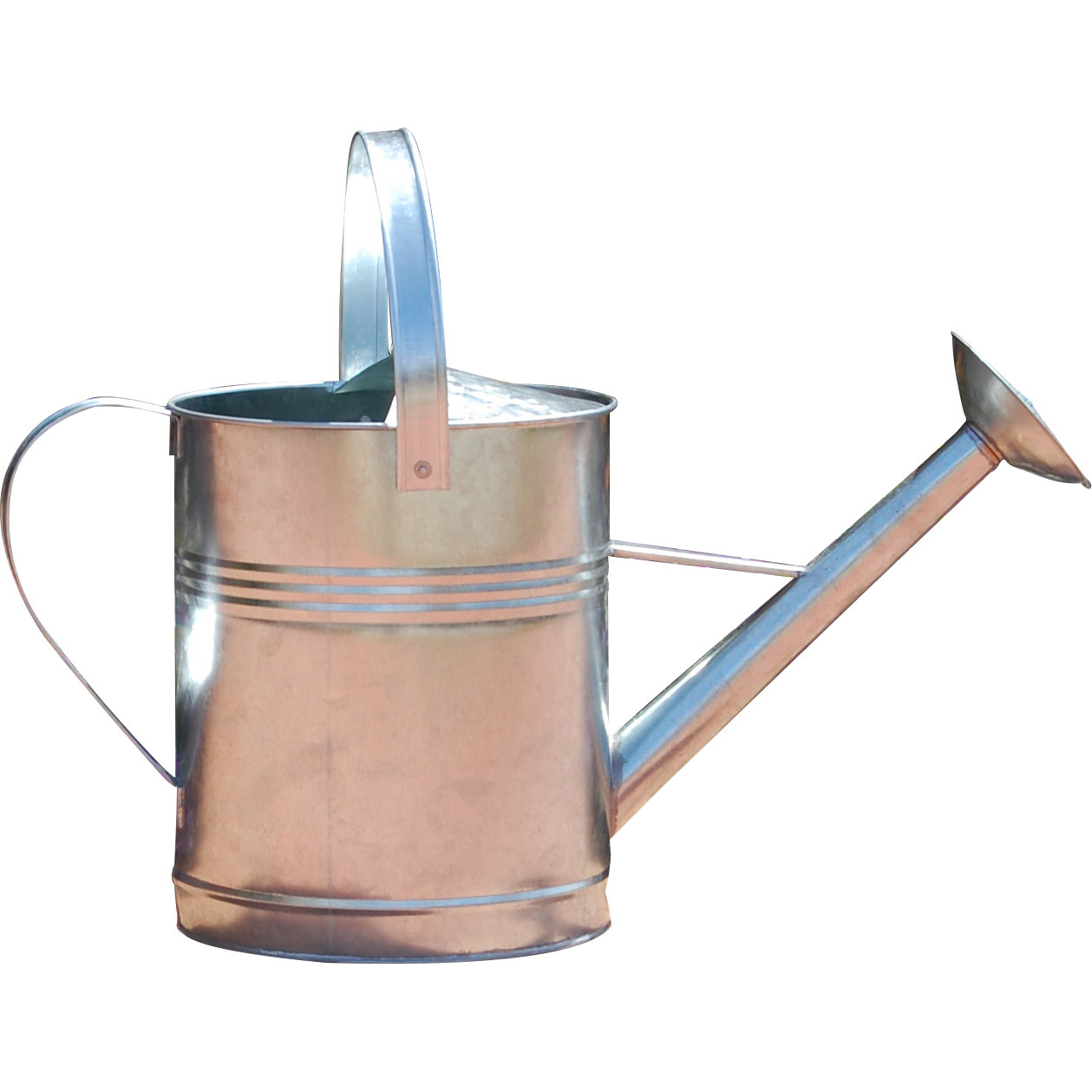 August Grove Ethel Galvanized Watering Can & Reviews Wayfair