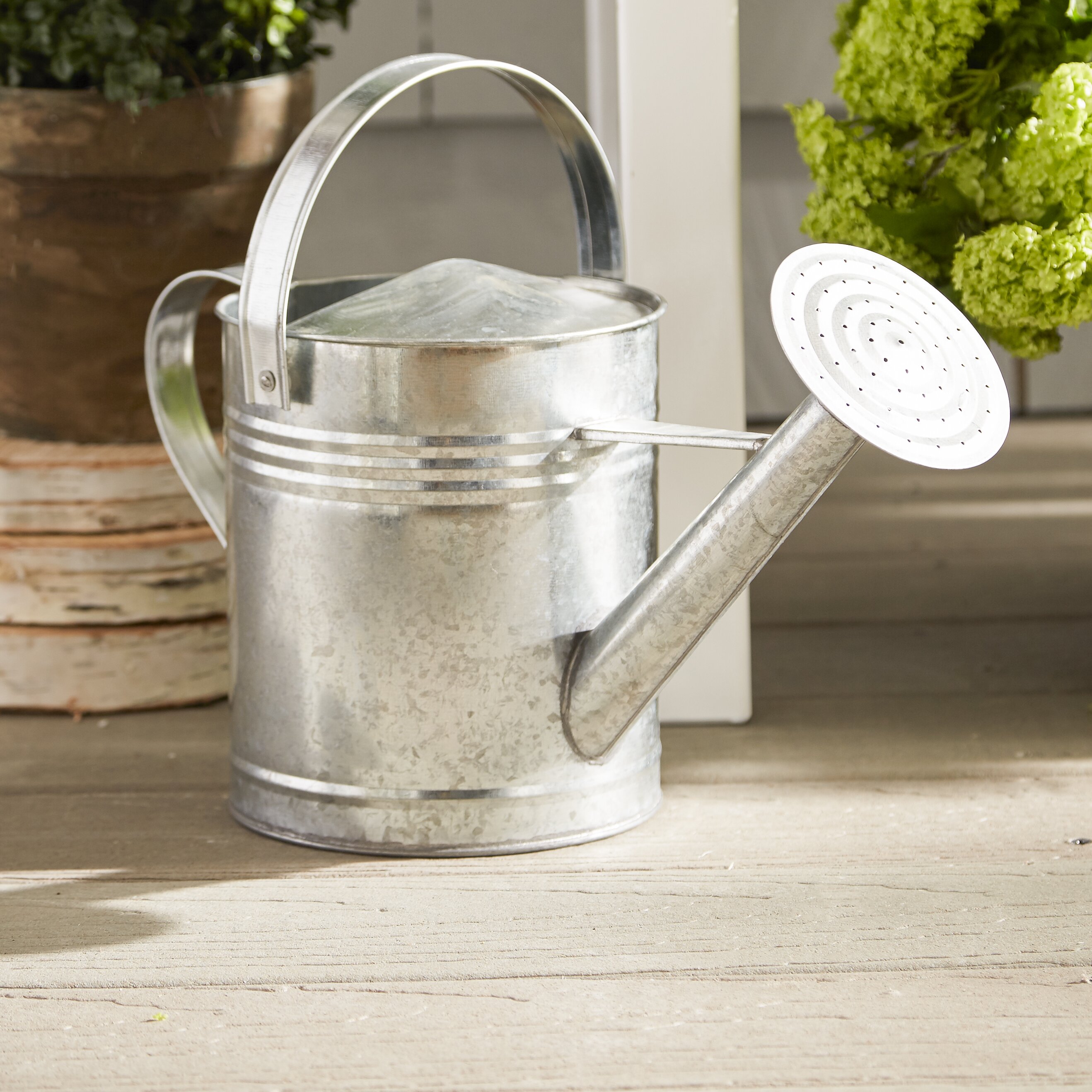 August Grove Ethel Galvanized Watering Can & Reviews Wayfair