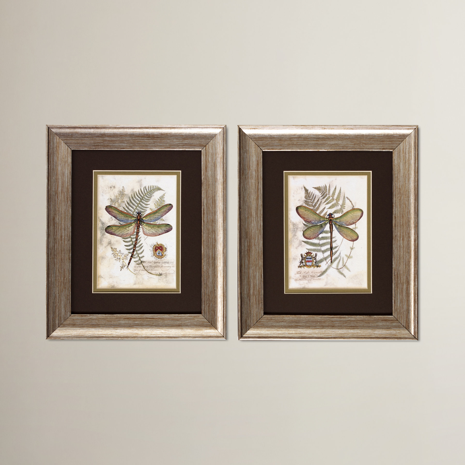 August Grove Dragonfly I and II Framed Painting Print & Reviews | Wayfair