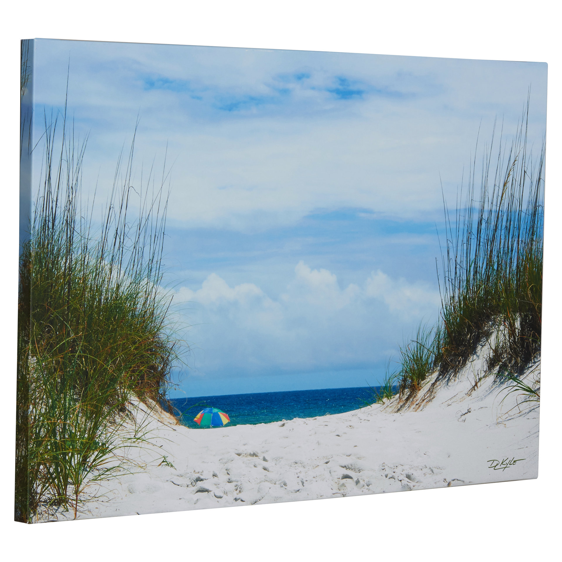 Beachcrest Home Ocean Path Photographic Print on Wrapped Canvas