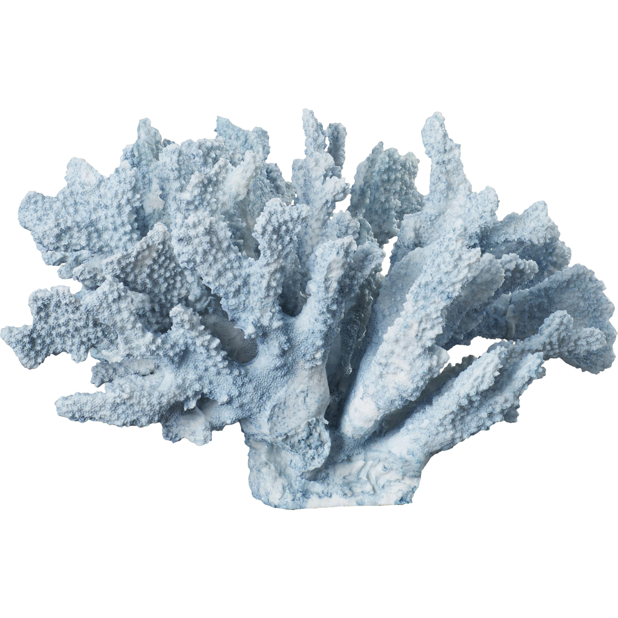 Beachcrest Home Decorative Coral Sculpture & Reviews Wayfair