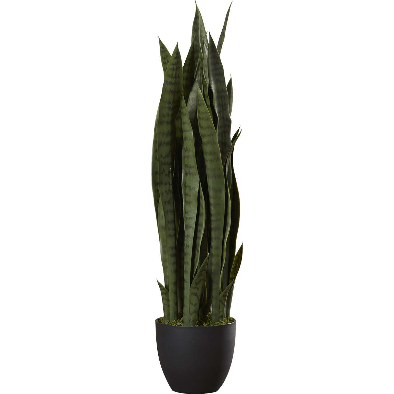 Beachcrest Home Sycamore Faux Sansevieria Floor Plant in Pot & Reviews
