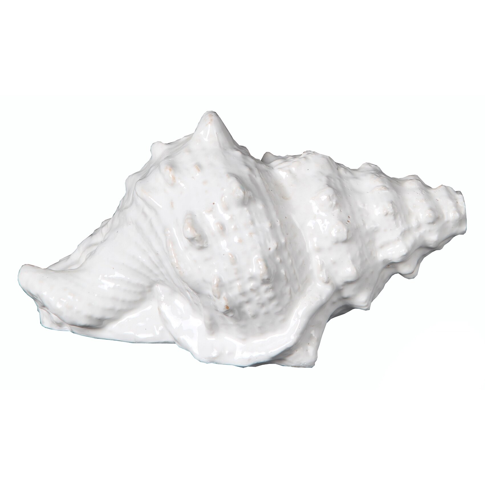 Beachcrest Home Fordham Ceramic Seashell Figurine & Reviews | Wayfair