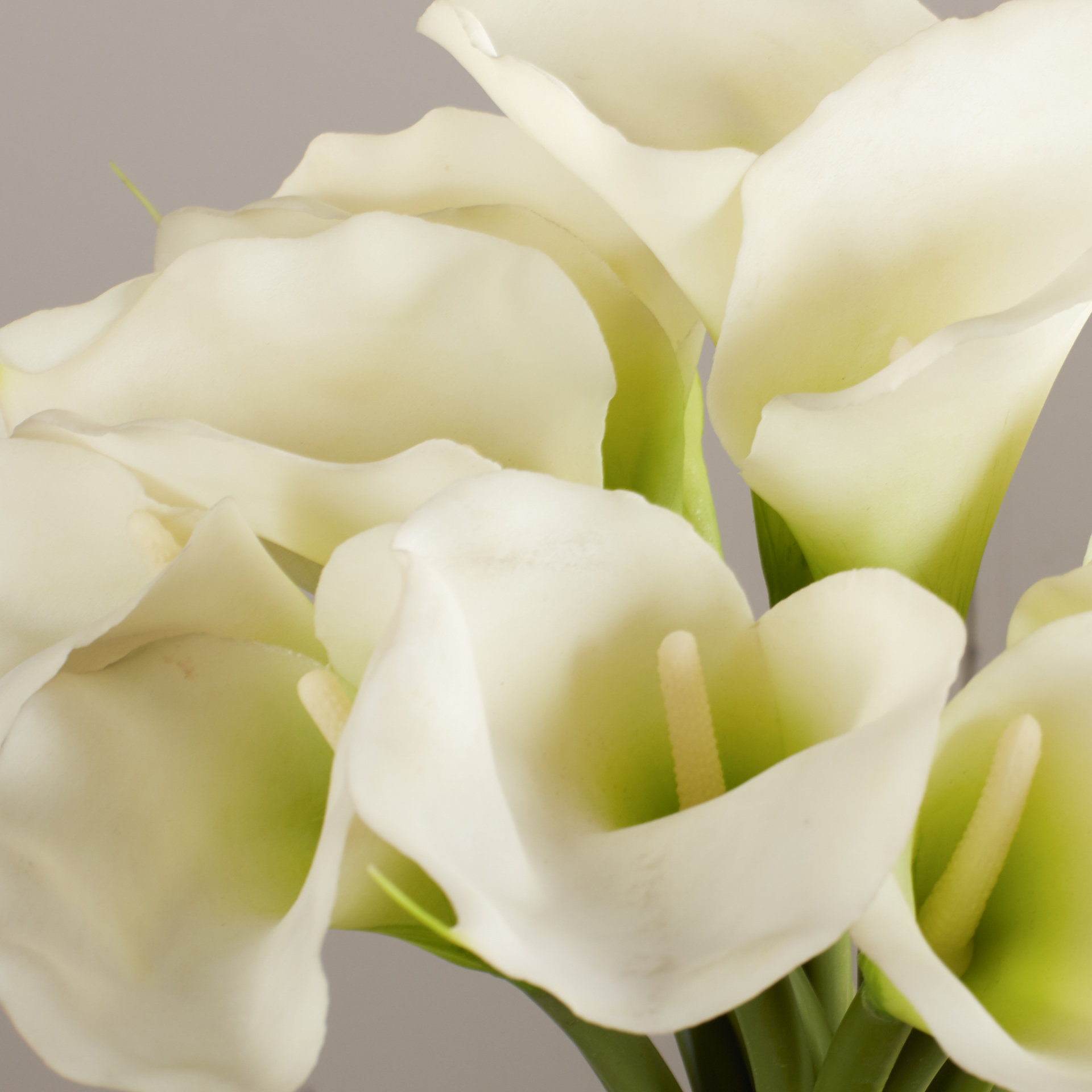 House of Hampton Calla Lily in Cylinder Silk Flower Arrangemen