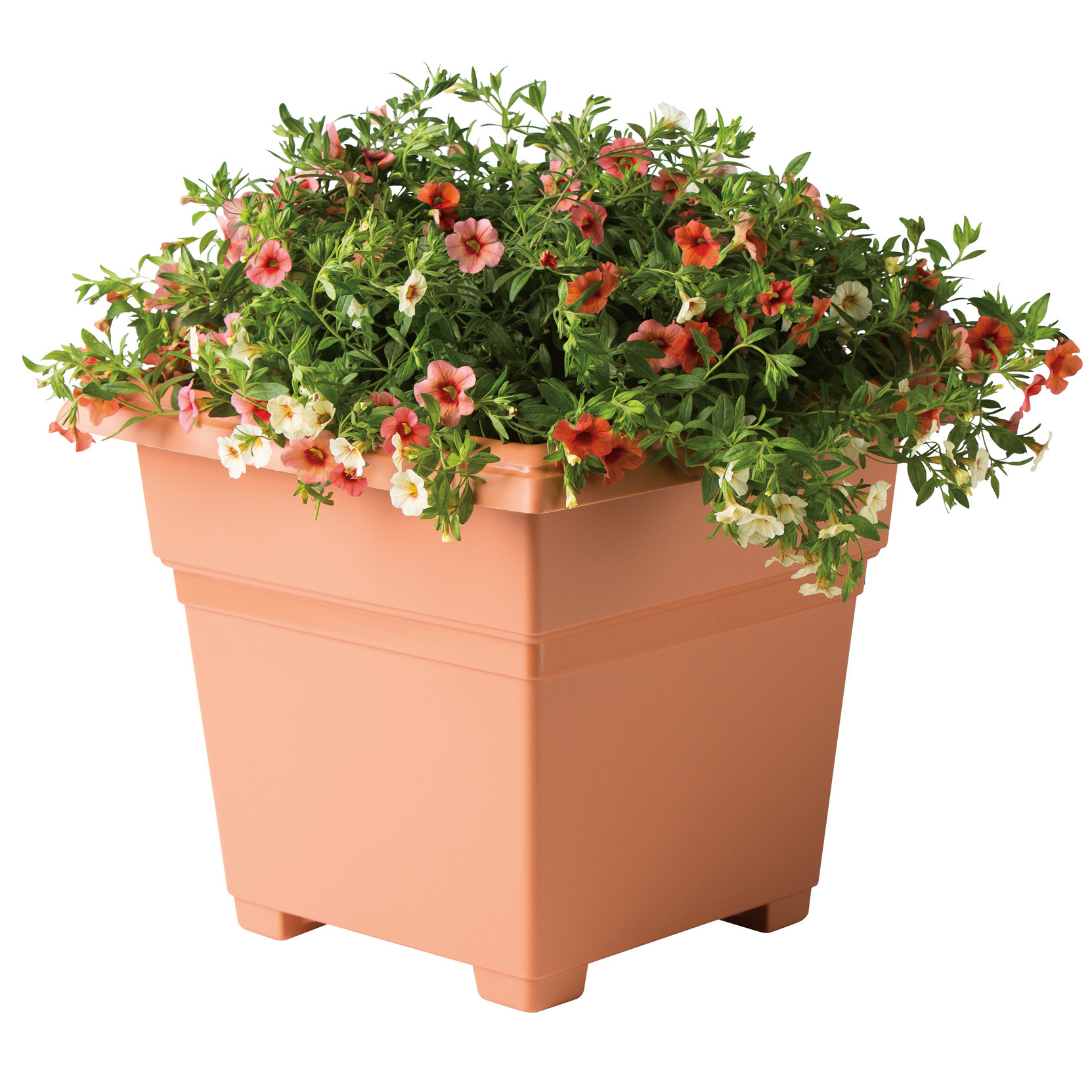 Novelty Square Planter Box & Reviews Wayfair