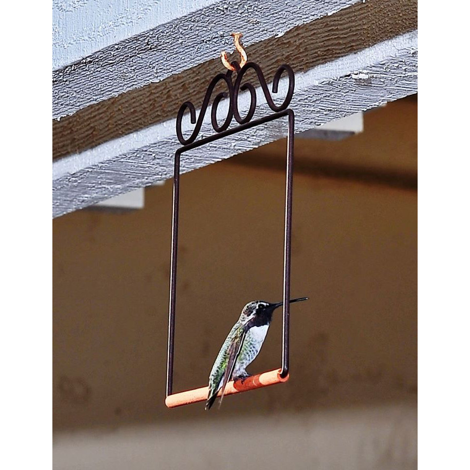 Pop'sHummingbirdSwings Hummingbird Swing Feeder & Reviews Wayfair