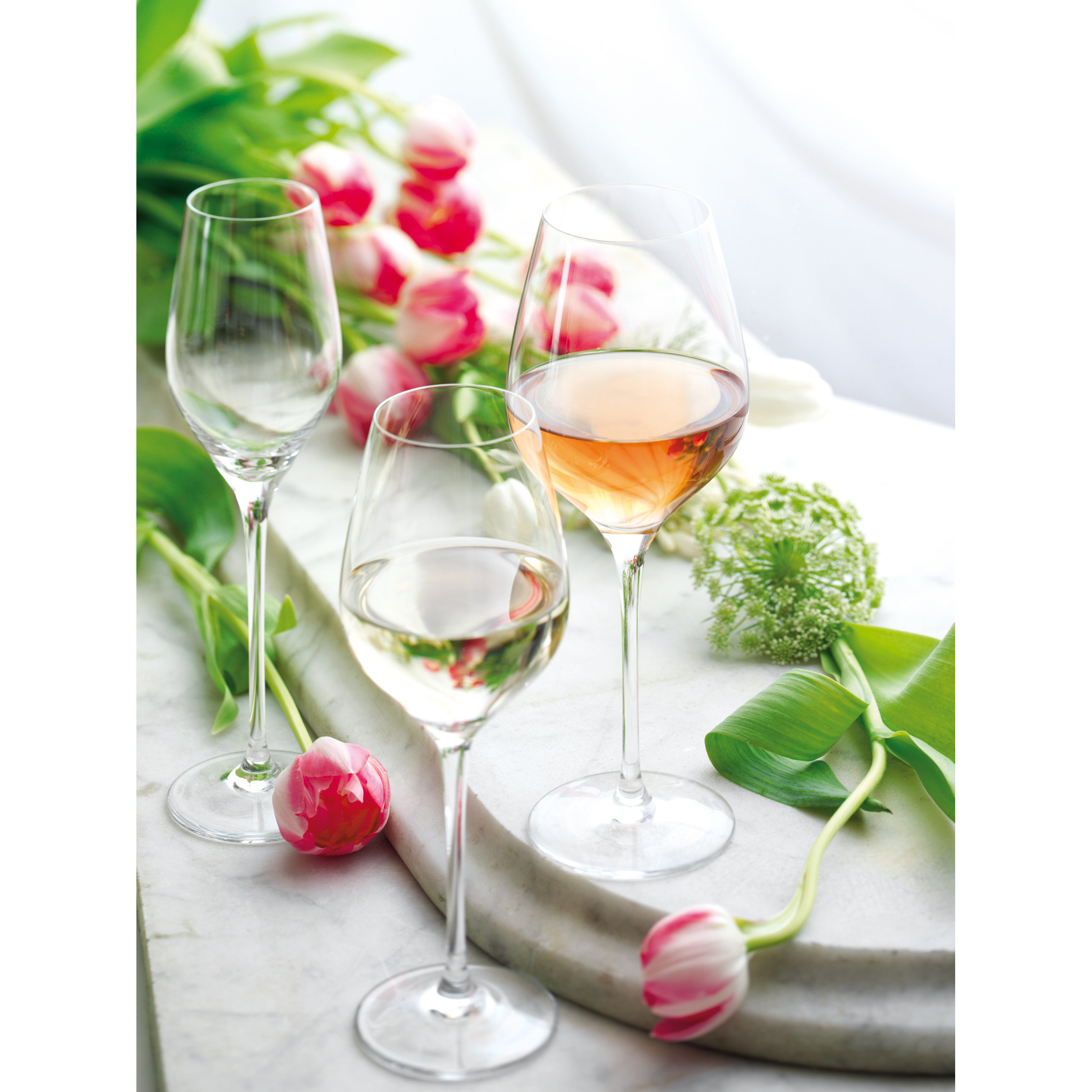 Stolzle Lausitz Exquisit Royal 420ml White Wine and Universal Glass & Reviews Wayfair UK