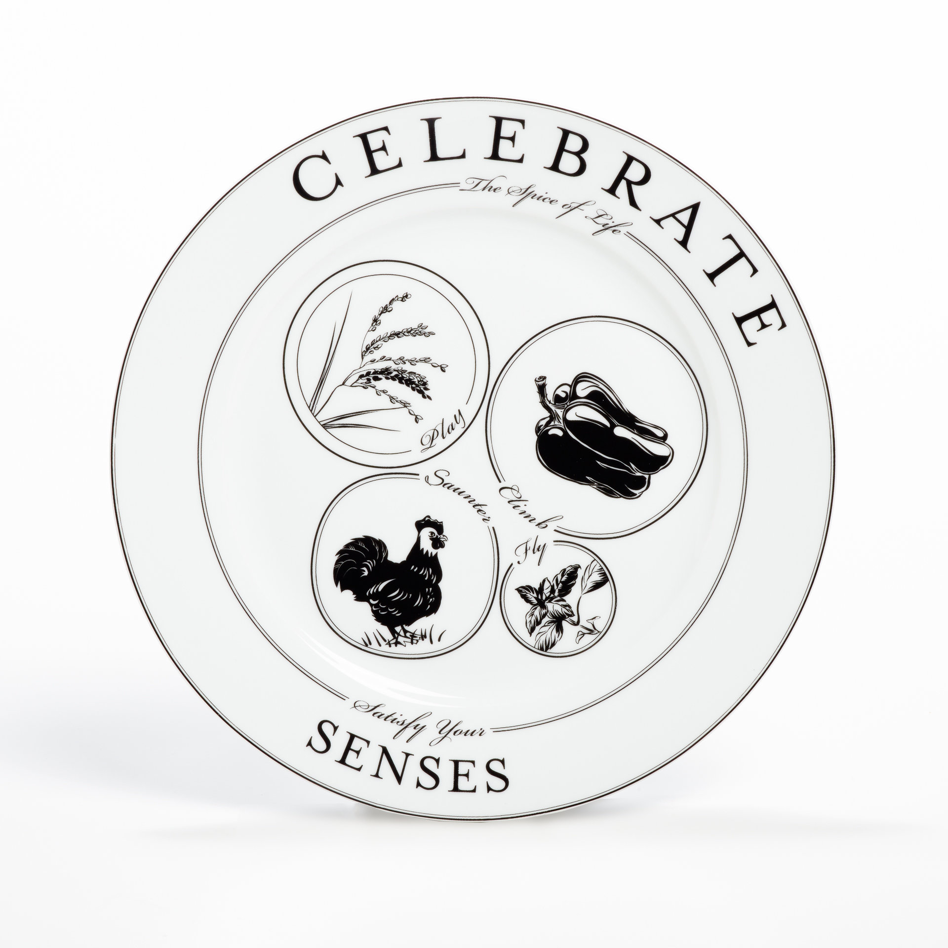 Livliga Celebrate Portion Control Dinner Plate Wayfair