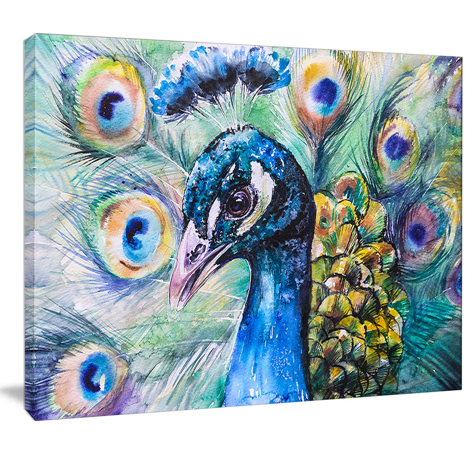DesignArt 'Beautiful Peacock Watercolor' Painting Print on Wrapped ...