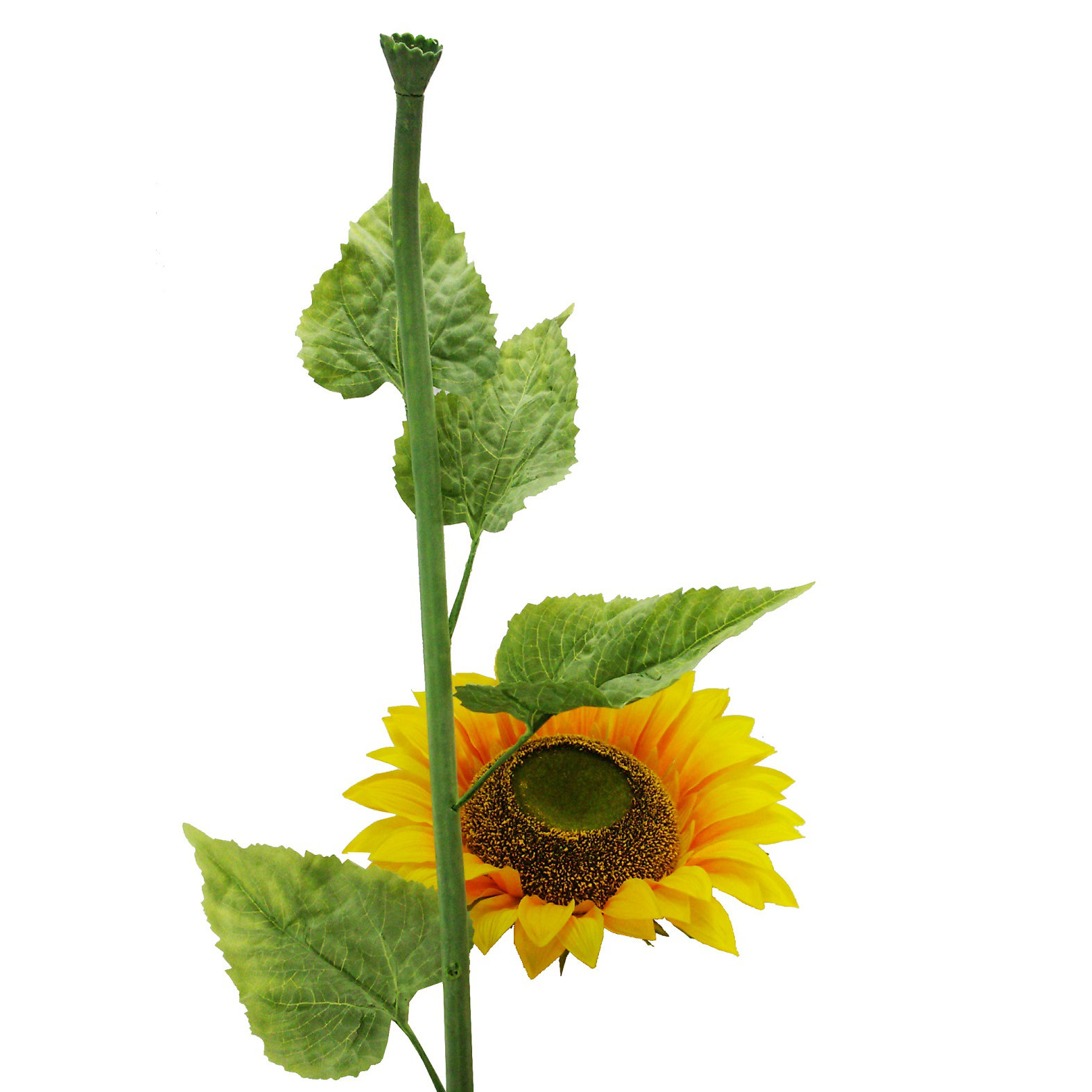 AdmiredbyNature Large Single Stem Blooms Sunflower Wayfair