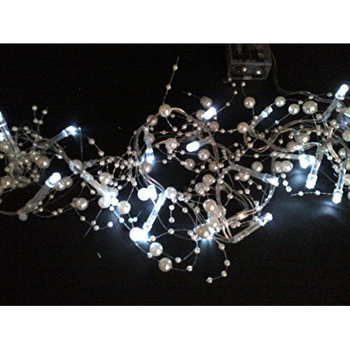 PerfectHoliday 20-Light 4 ft. Fairy String Lights & Reviews Wayfair