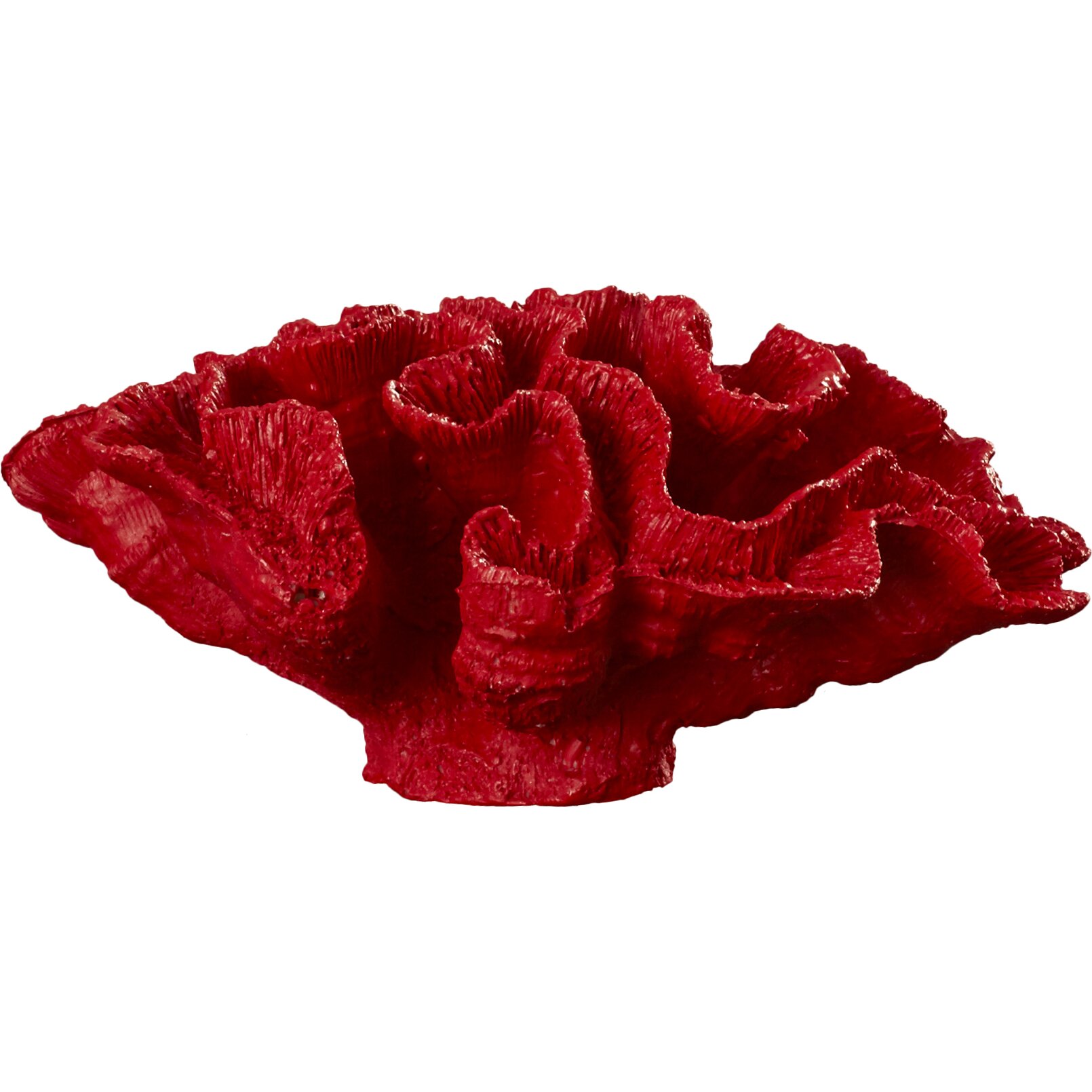 Breakwater Bay Faux Coral Sculpture Reviews Wayfair   Faux Coral Sculpture BRWT1802 