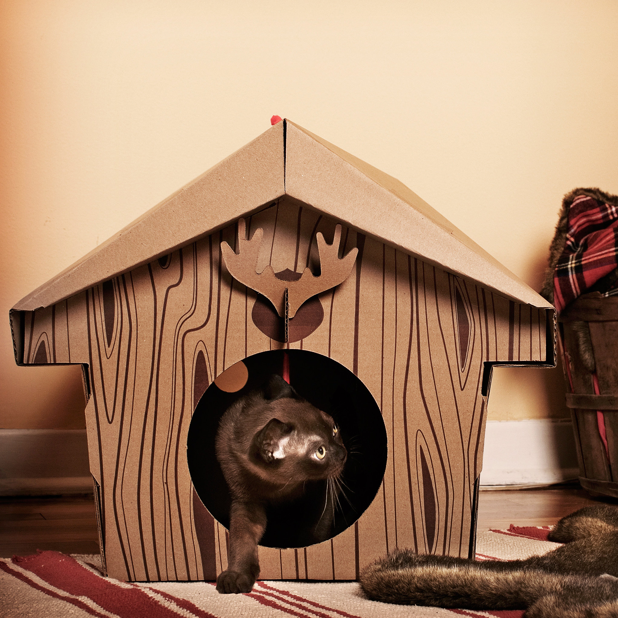 suck UK 13.78" Cabin Cat Playhouse & Reviews Wayfair
