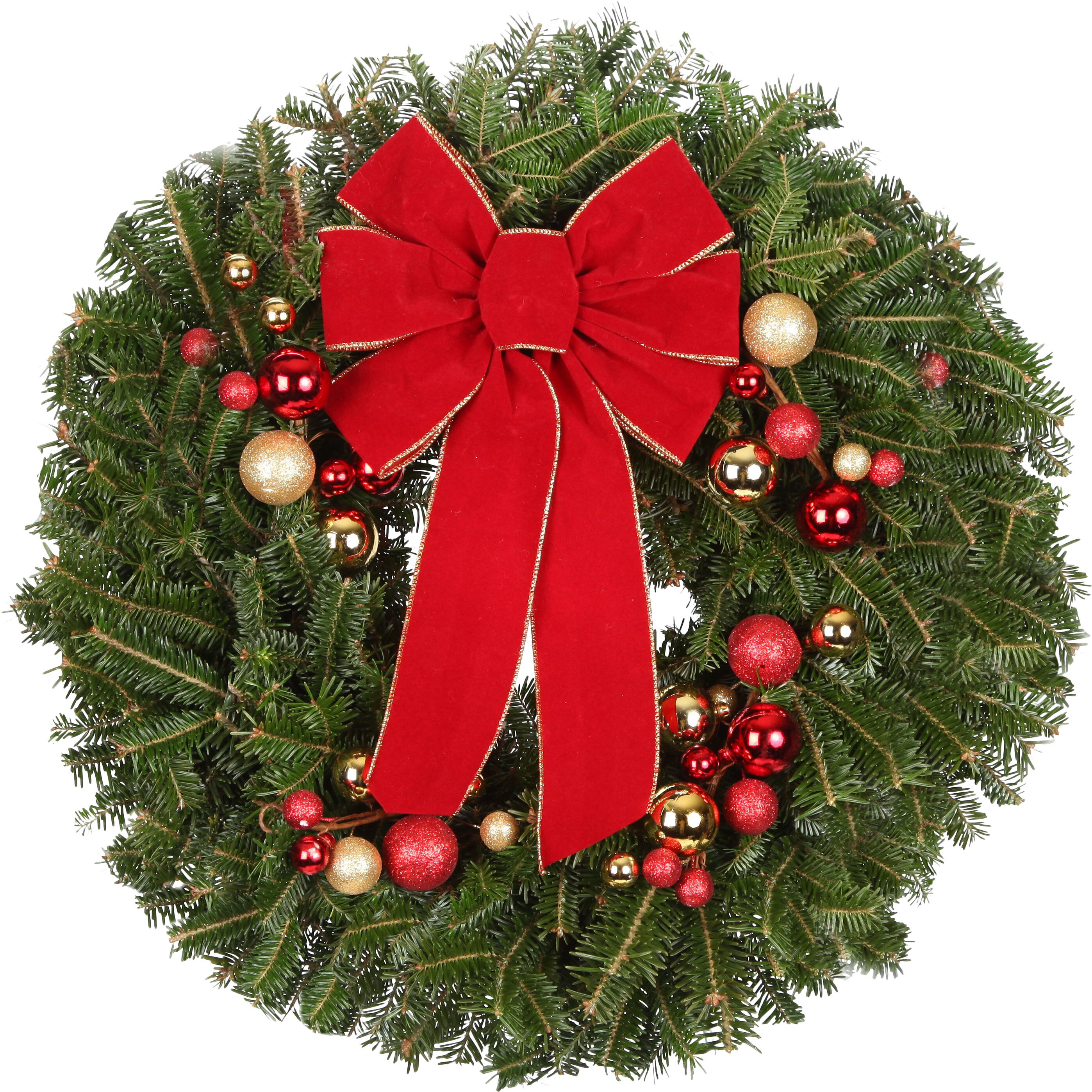 Real Christmas Trees Delivered 24" Fir Wreath & Reviews Wayfair