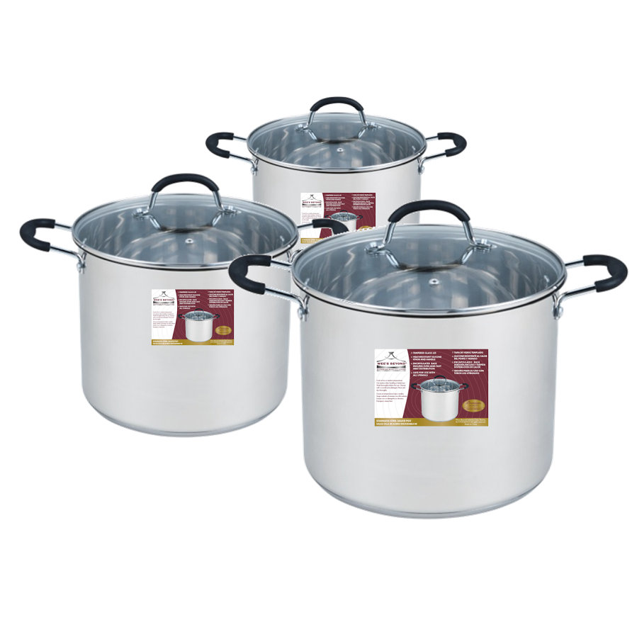 Wee's Beyond 3 Piece Stock Pot Set with Lid Wayfair