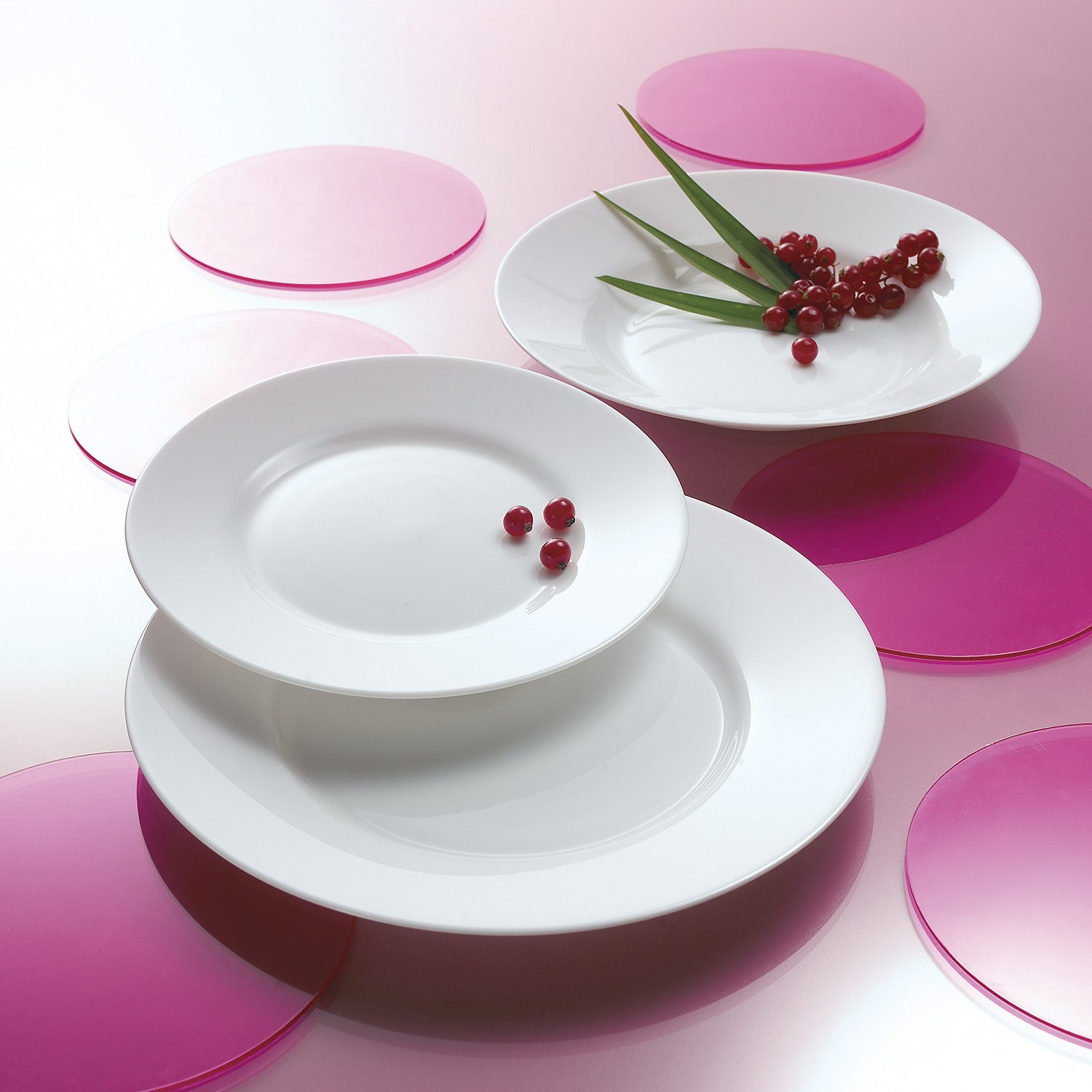 Luminarc Everyday 12 Piece Dinnerware Set & Reviews Wayfair.ca
