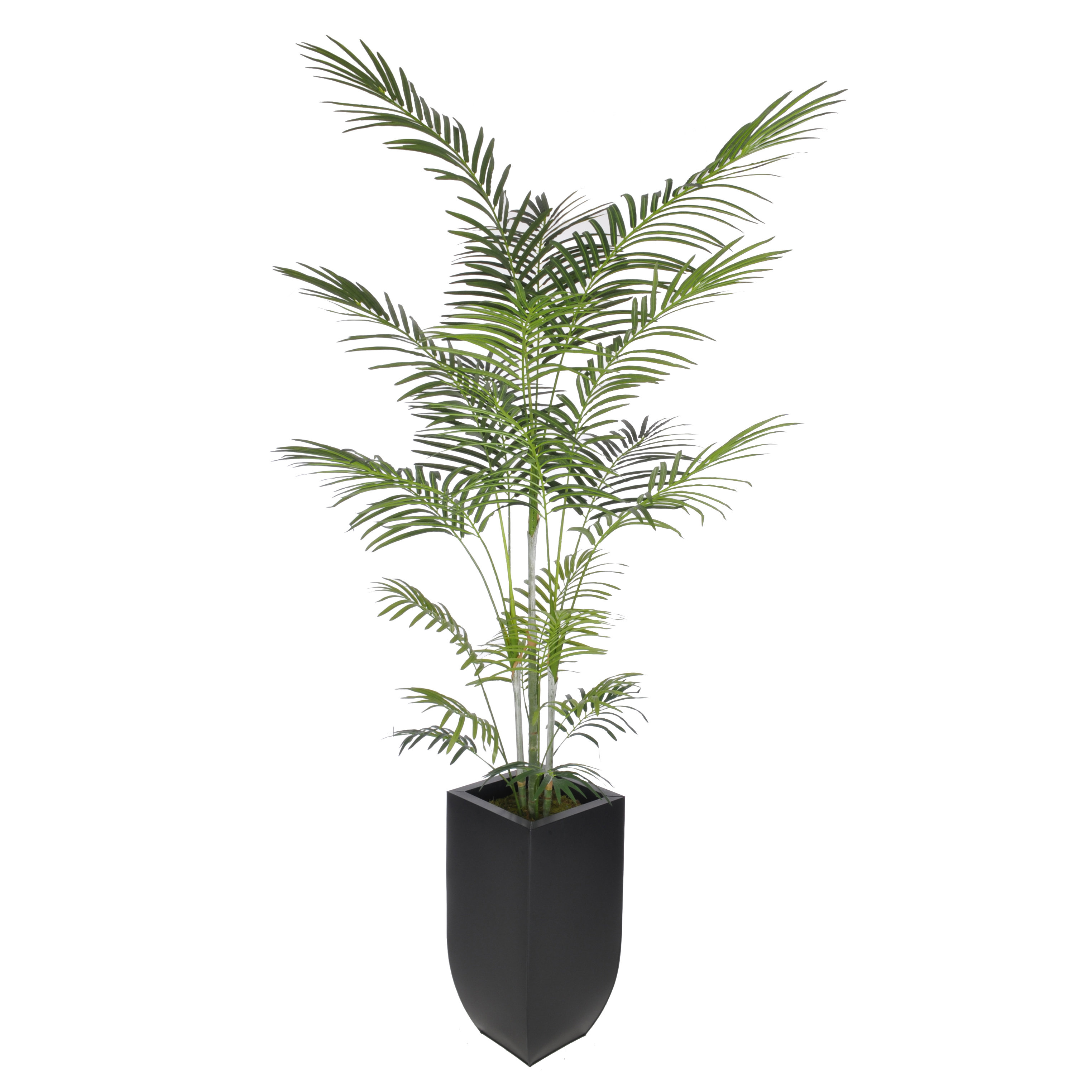 Bay Isle Home Artificial Areca Palm Tree Floor Plant in