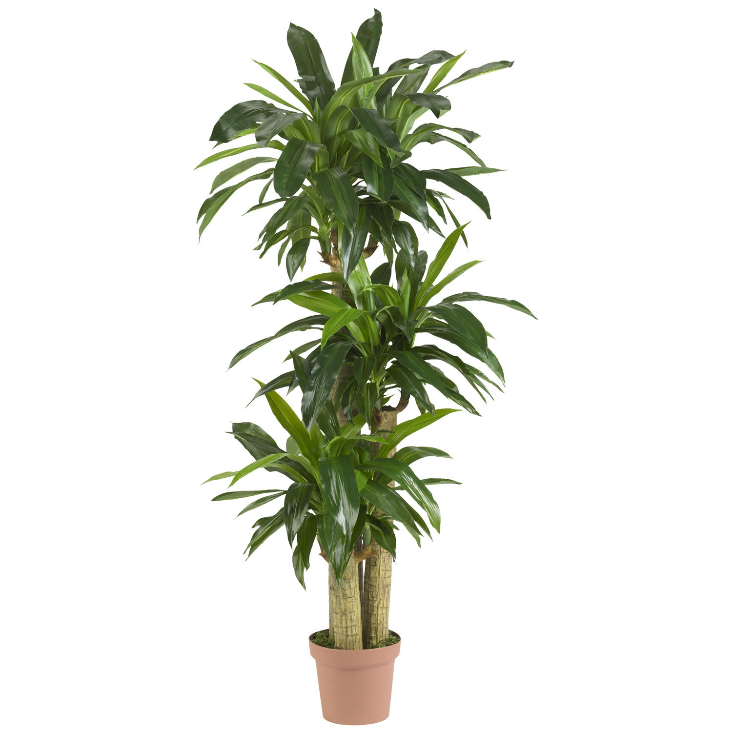Bay Isle Home Corn Stalk Dracaena Silk Floor Plant in Pot & Reviews
