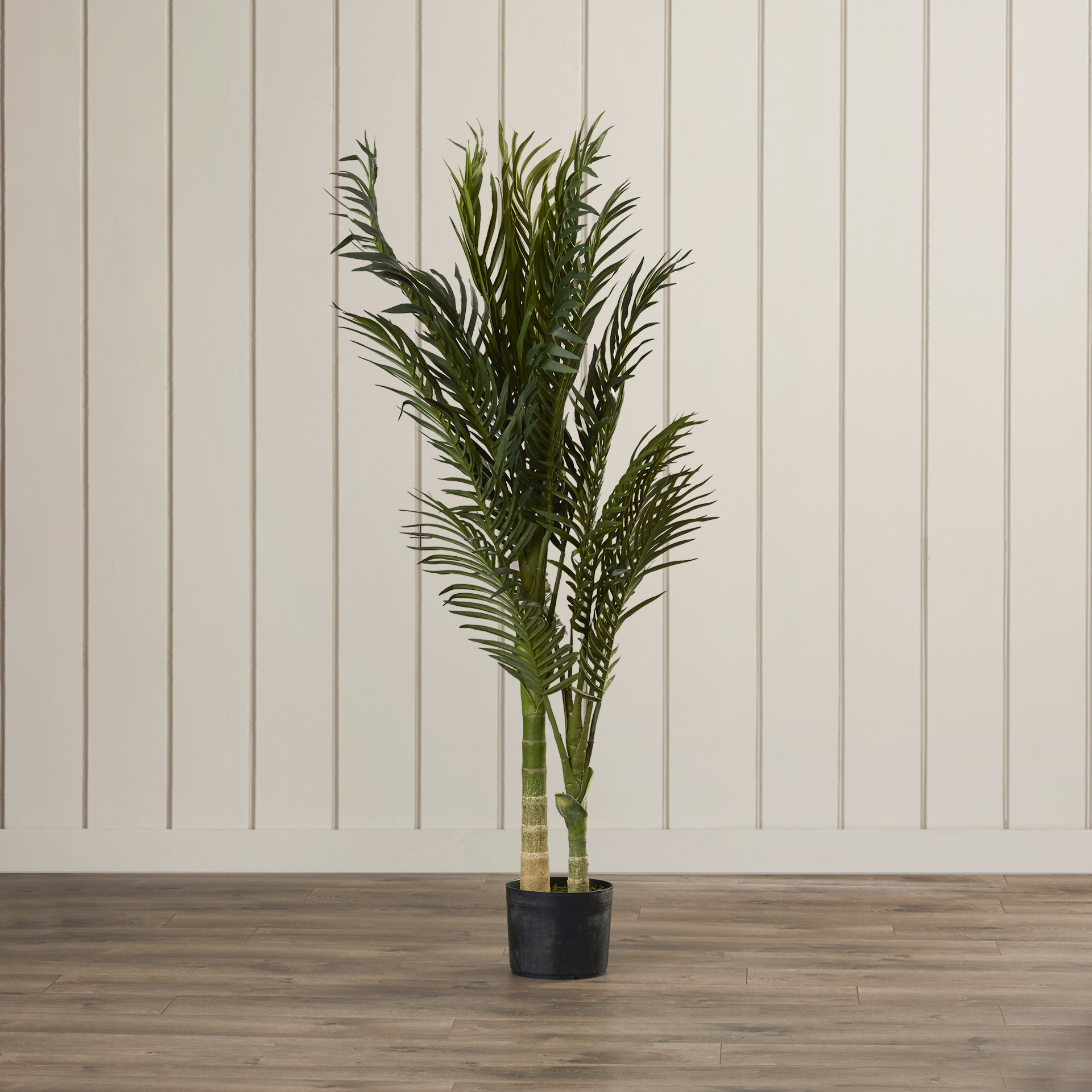 Bay Isle Home Golden Cane Palm Tree Floor Plant in Pot & Reviews Wayfair