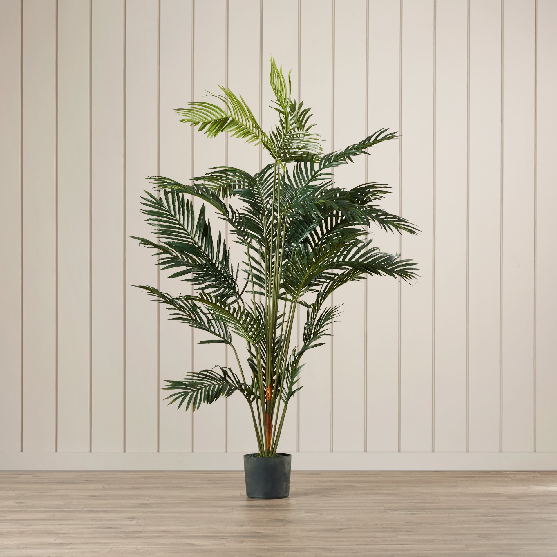 Bay Isle Home Paradise Palm Tree Floor Plant in Pot & Reviews | Wayfair