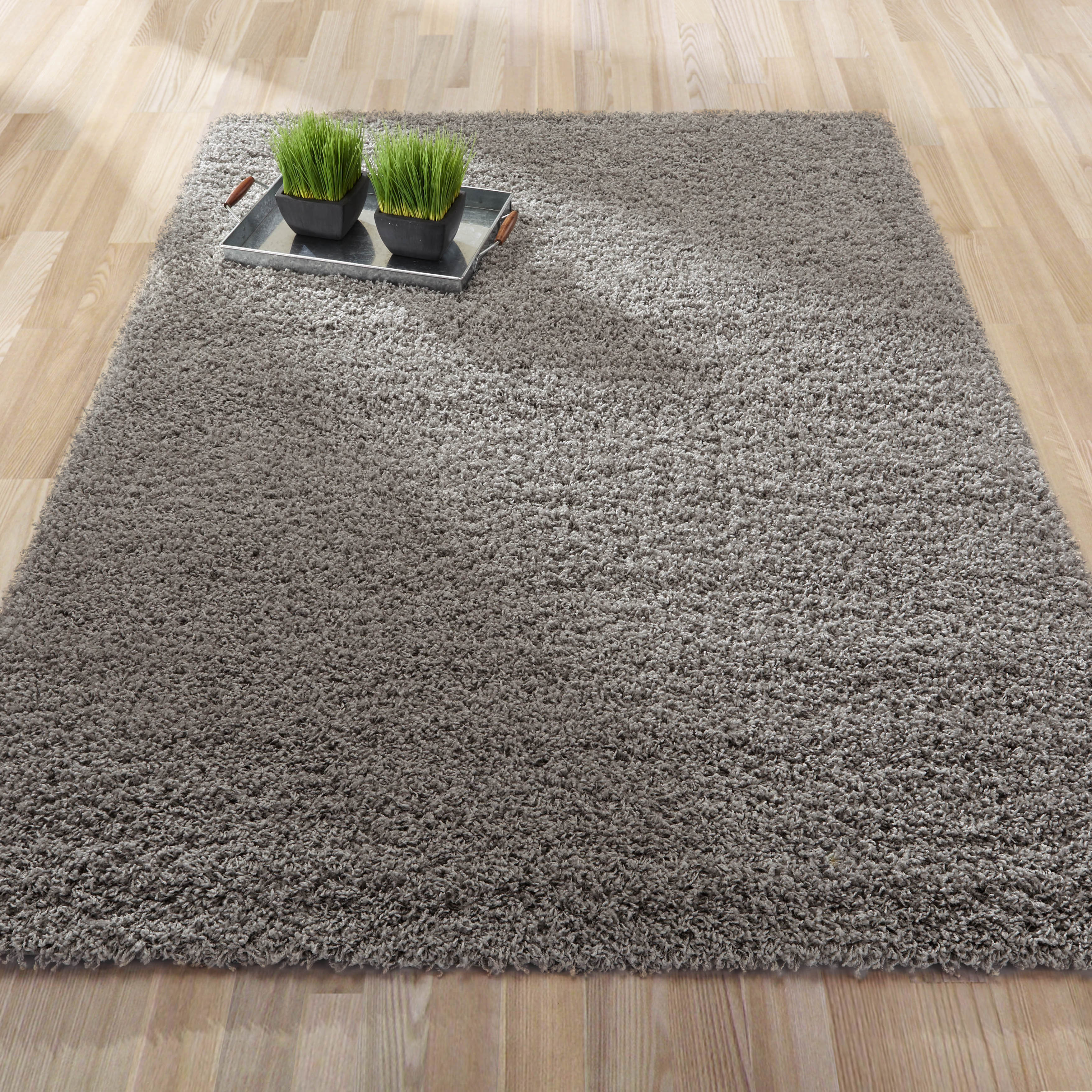 sweet home stores Cozy Gray Area Rug & Reviews Wayfair