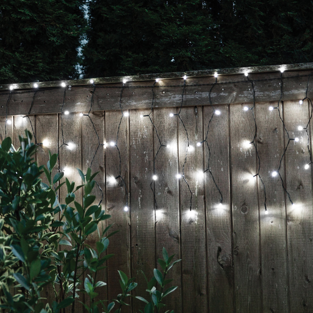 eco friendly string lights